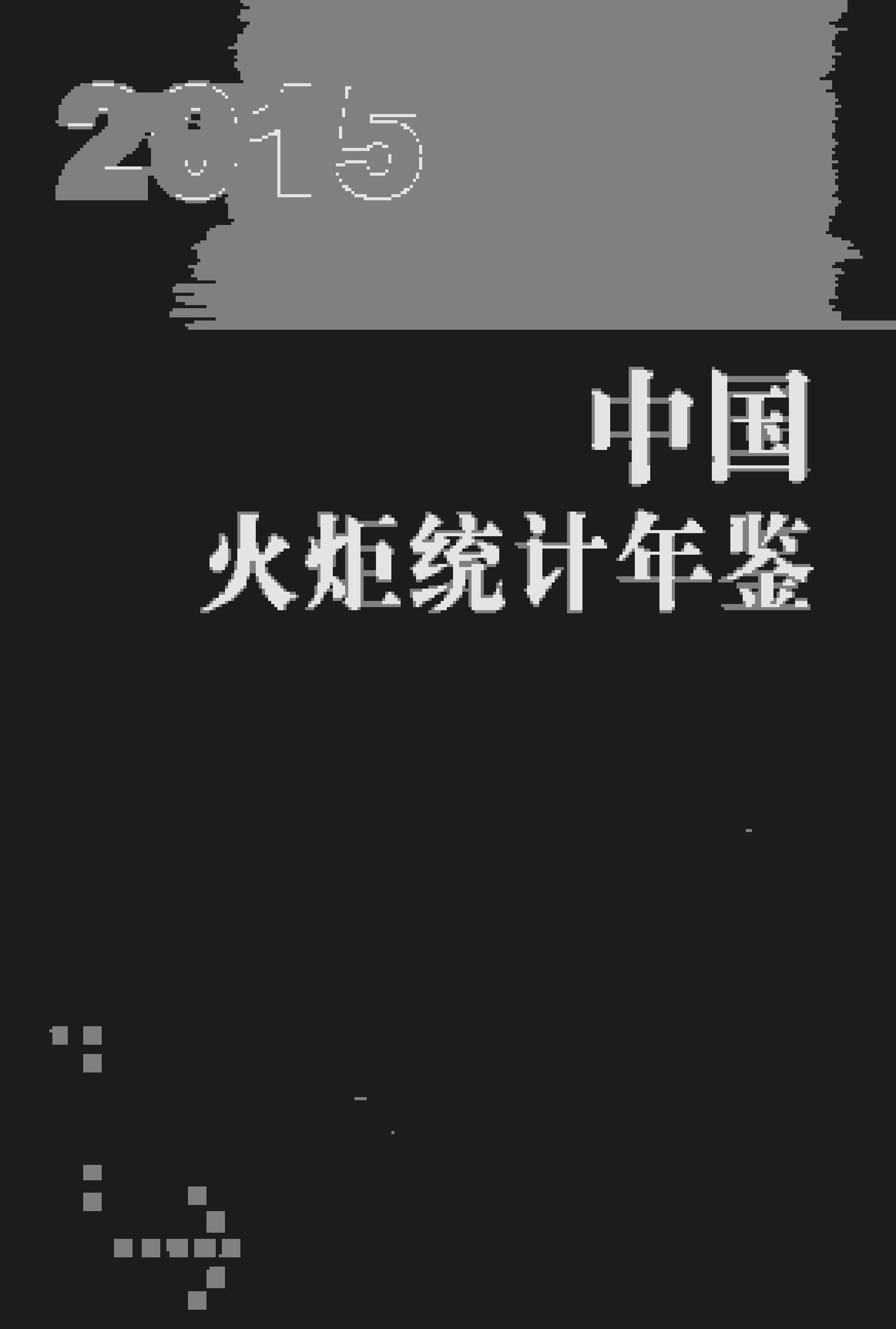 2015年中国火炬统计年鉴
