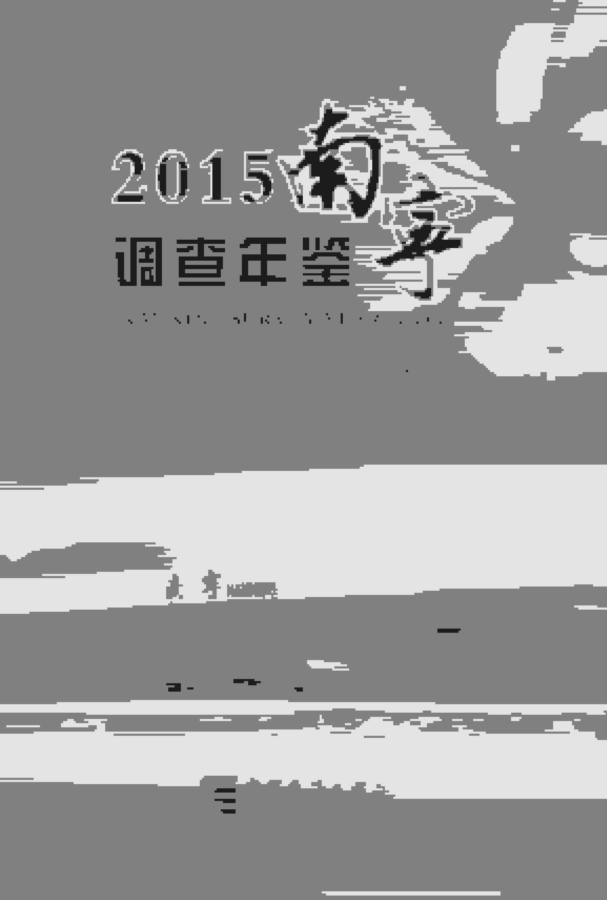 2015年南宁调查年鉴