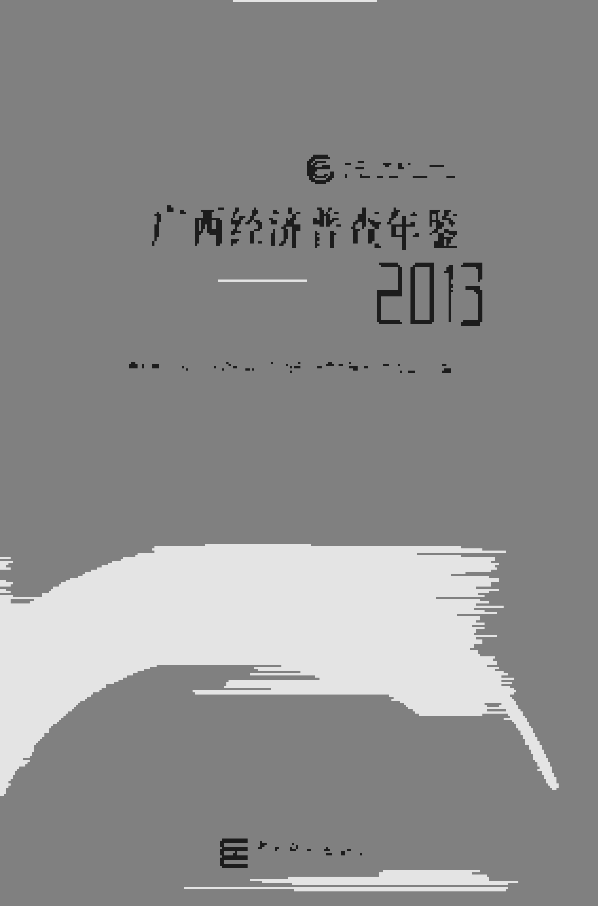2013年广西经济普查年鉴