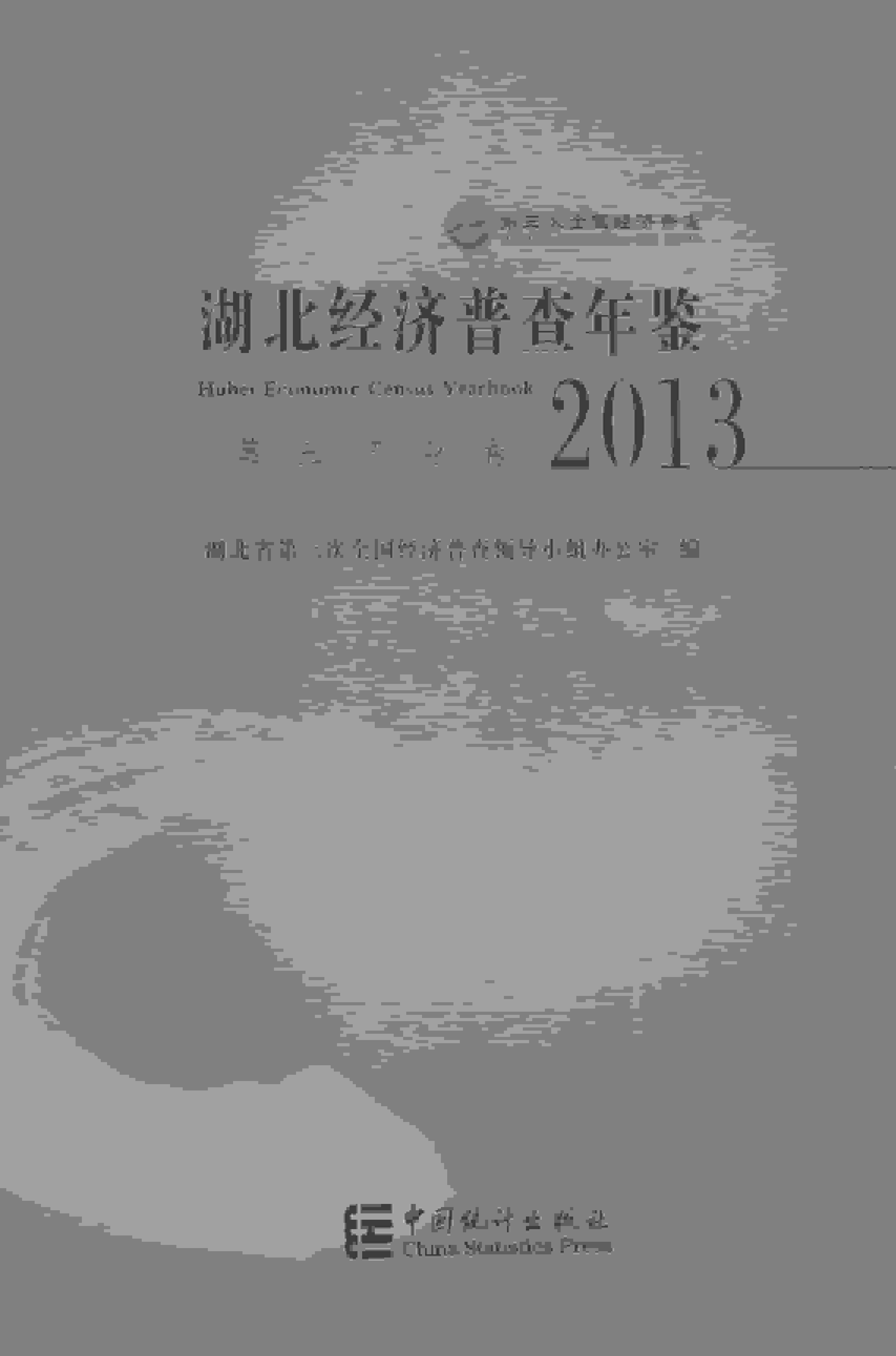 2013年湖北经济普查年鉴