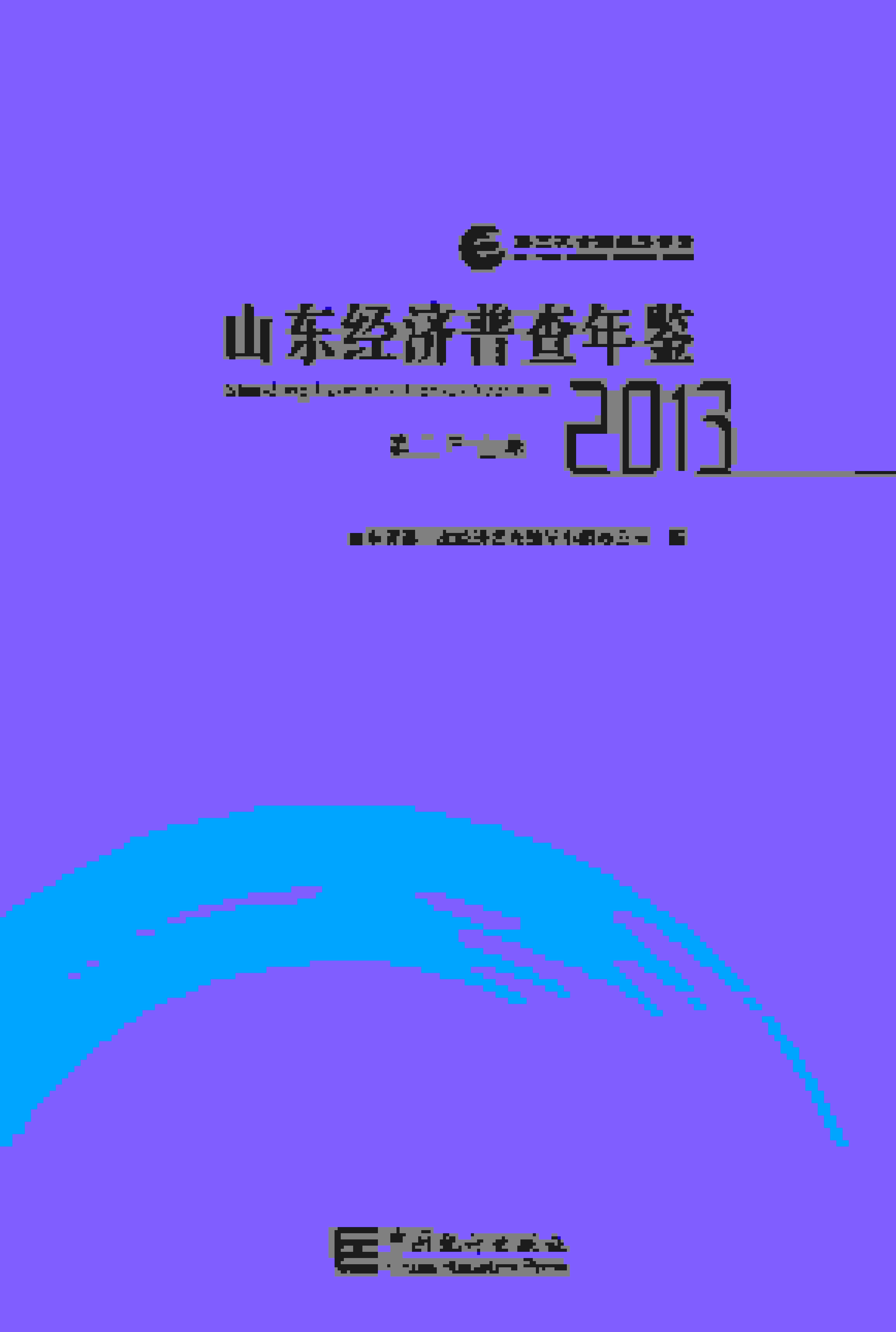 2013年山东经济普查年鉴