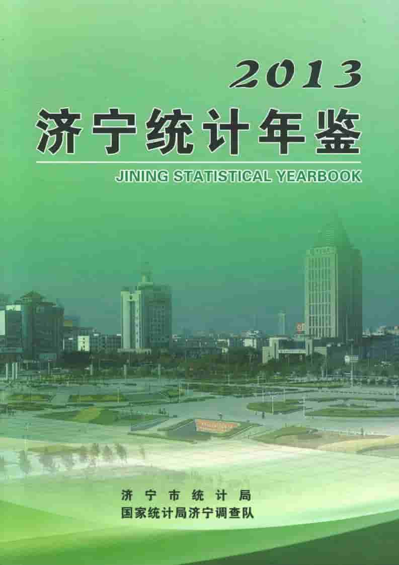 2013年济宁统计年鉴