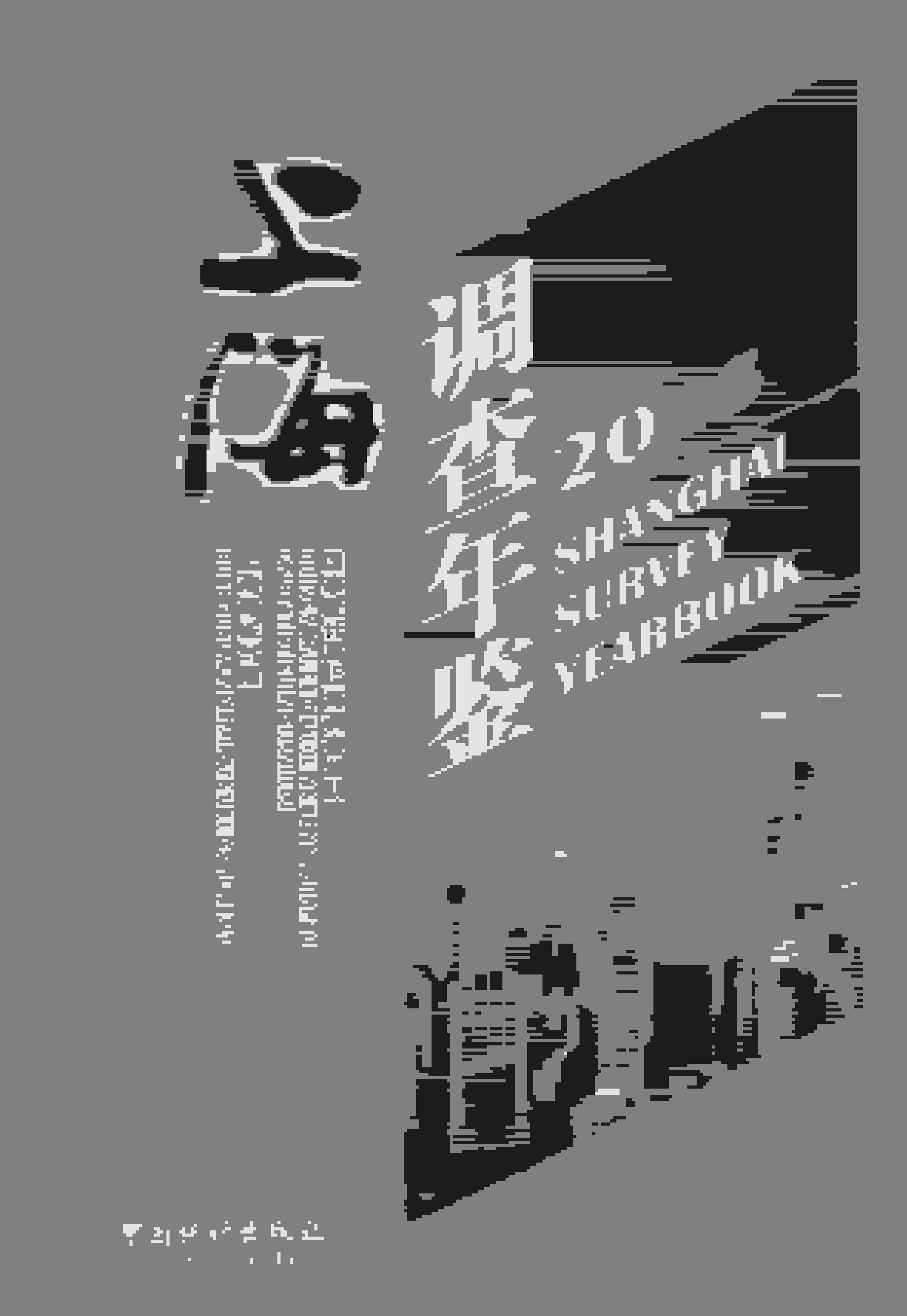 2016年上海调查年鉴