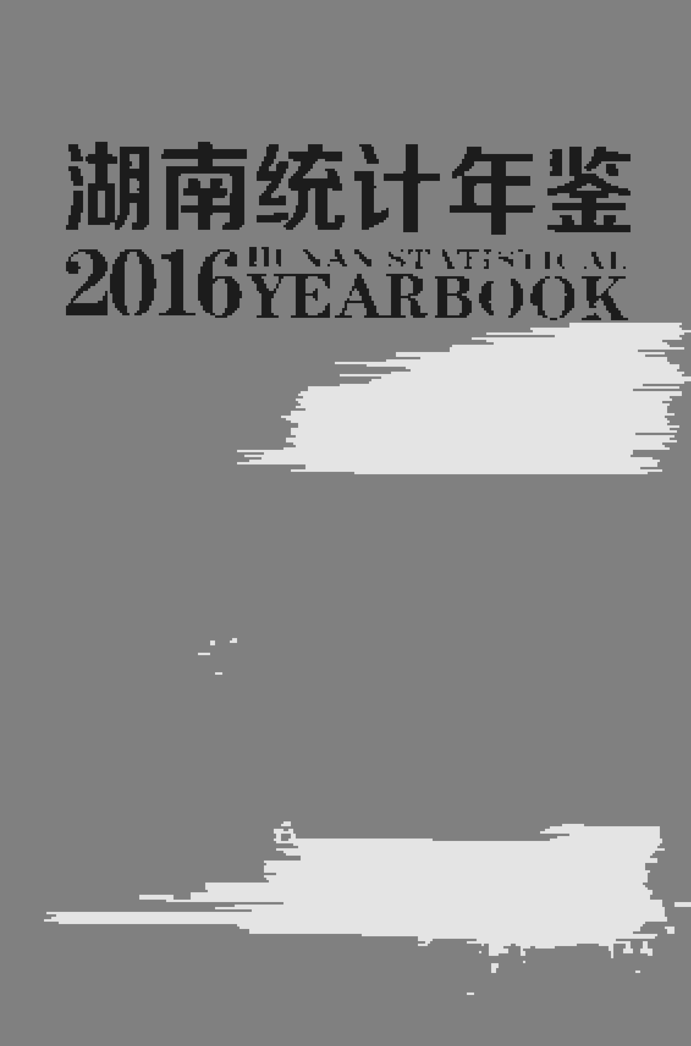 2016年湖南统计年鉴
