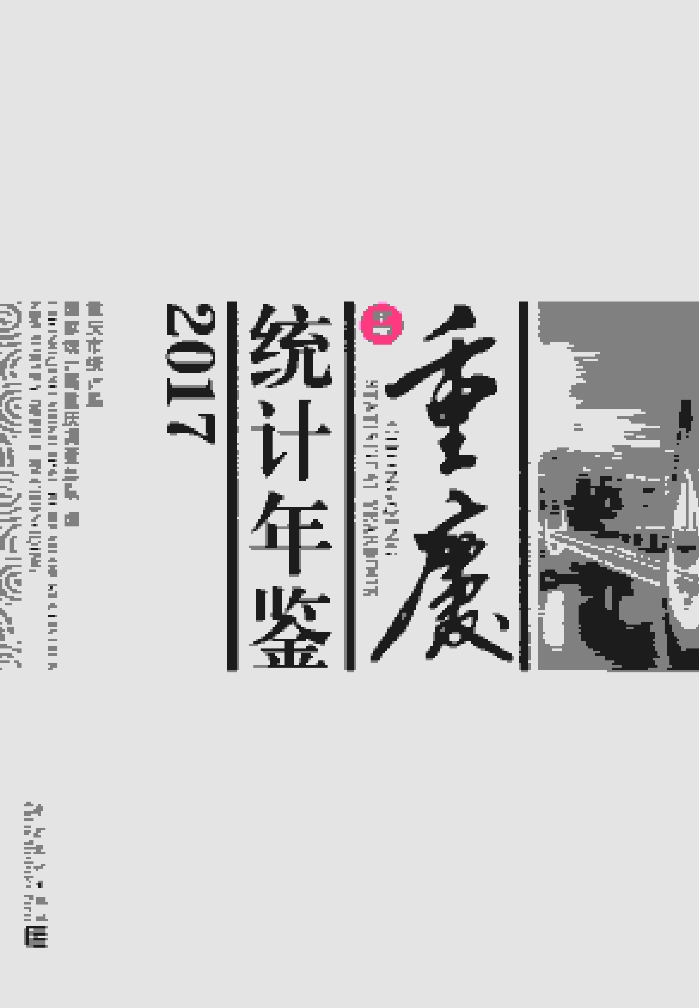 2017年重庆统计年鉴