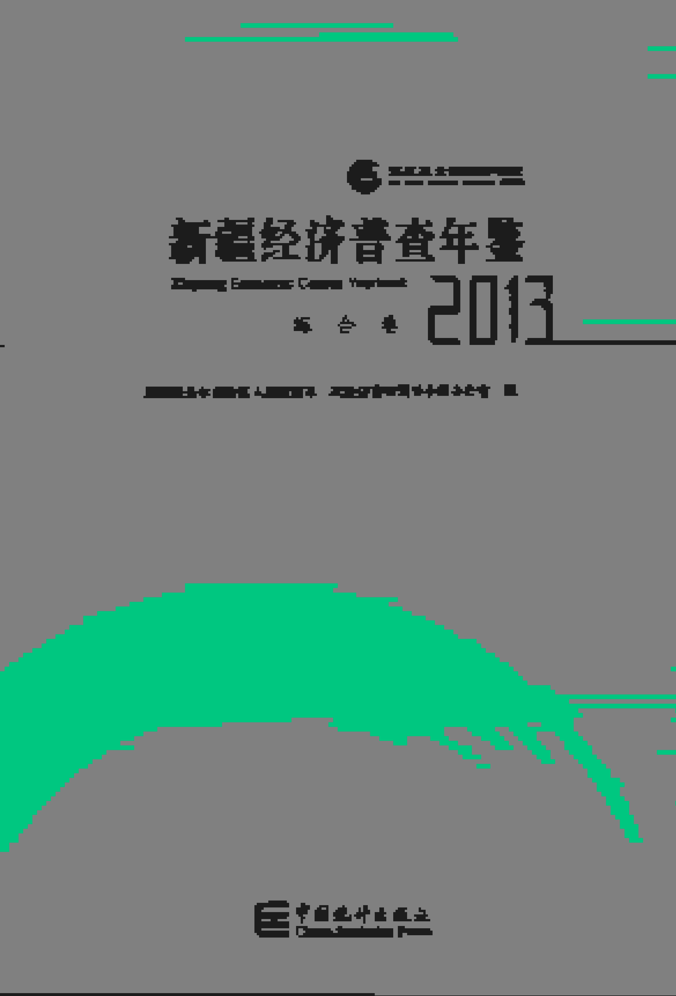 2013年新疆经济普查年鉴