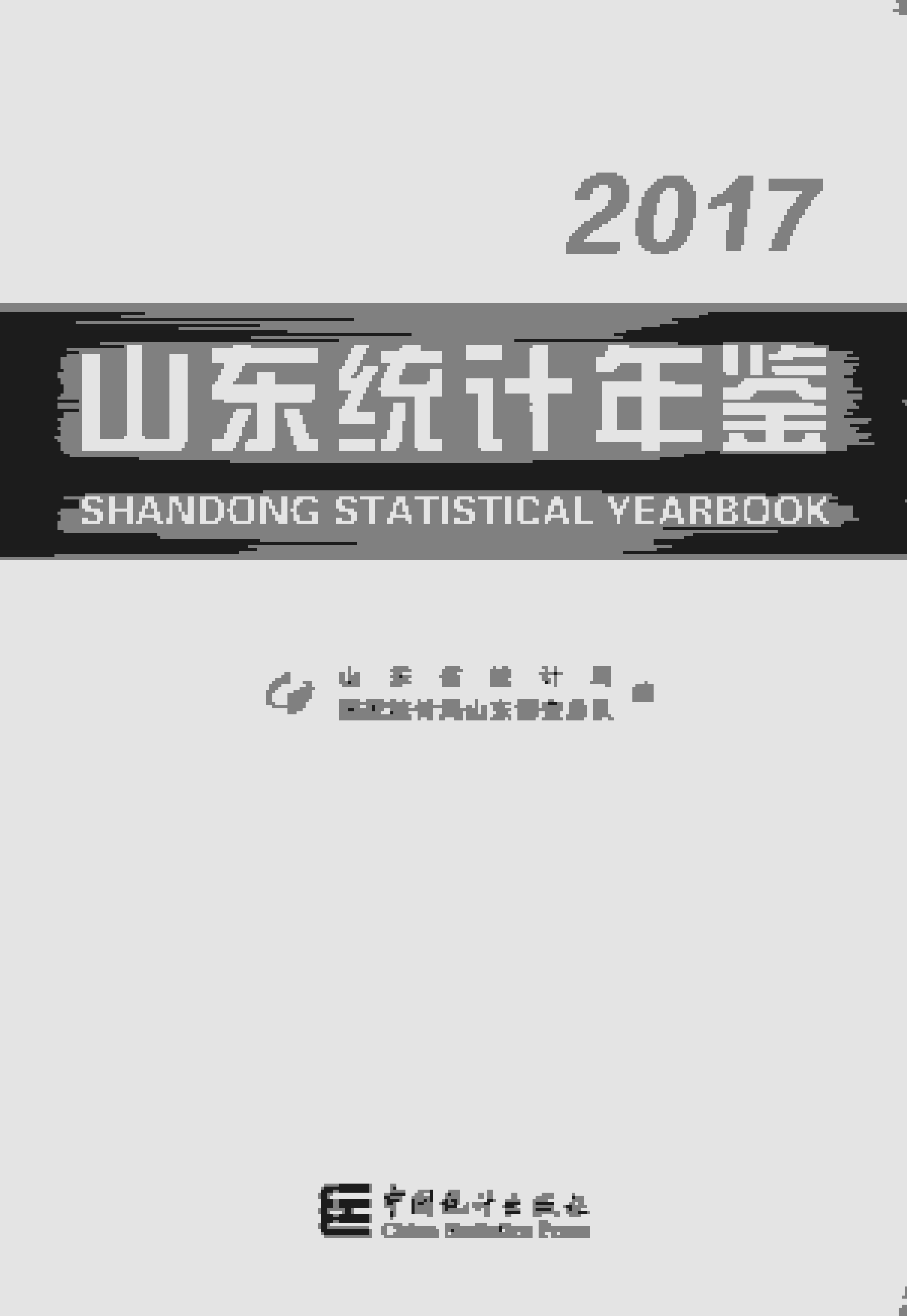 2017年山东统计年鉴