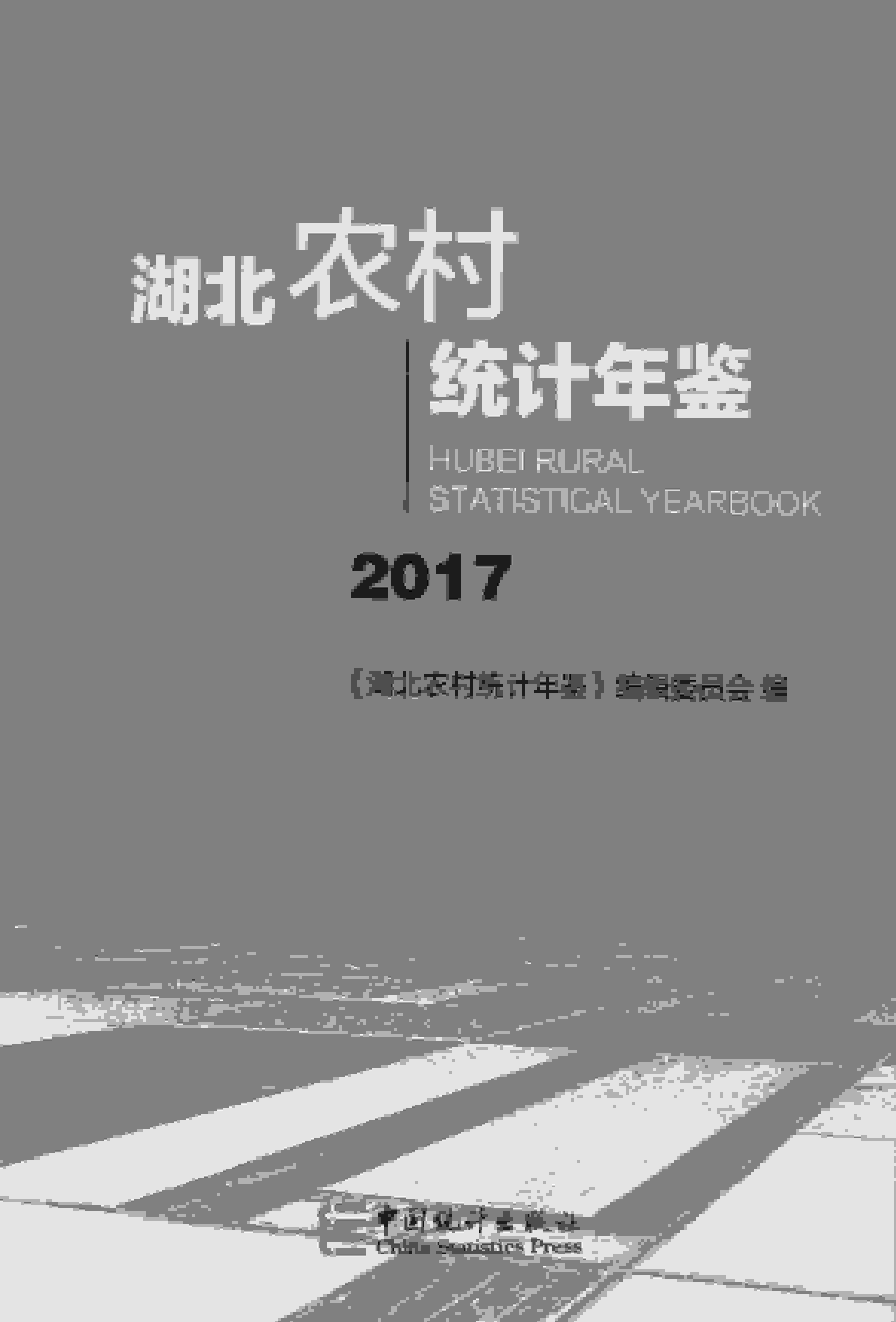 2017年湖北农村统计年鉴