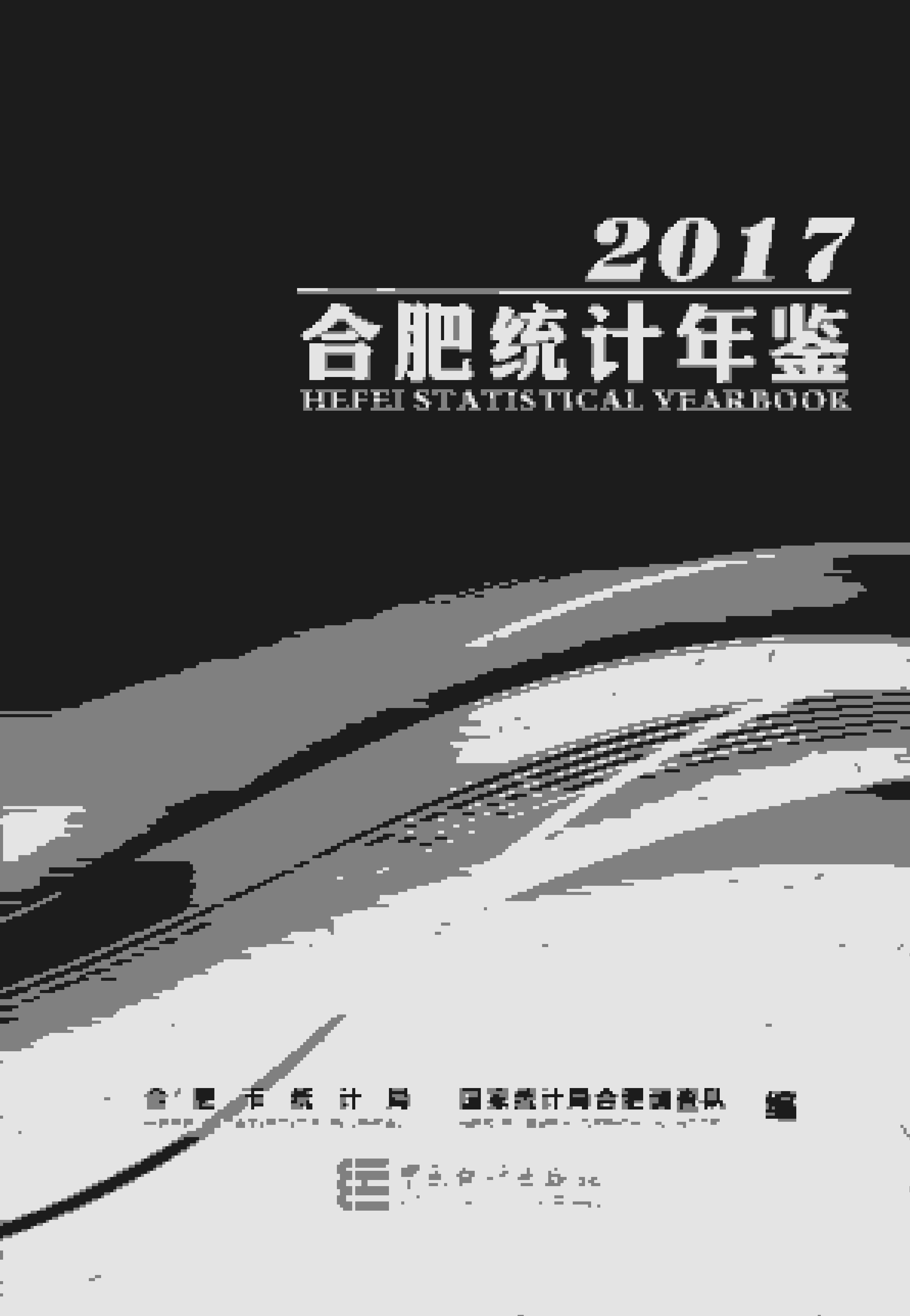 2017年合肥统计年鉴