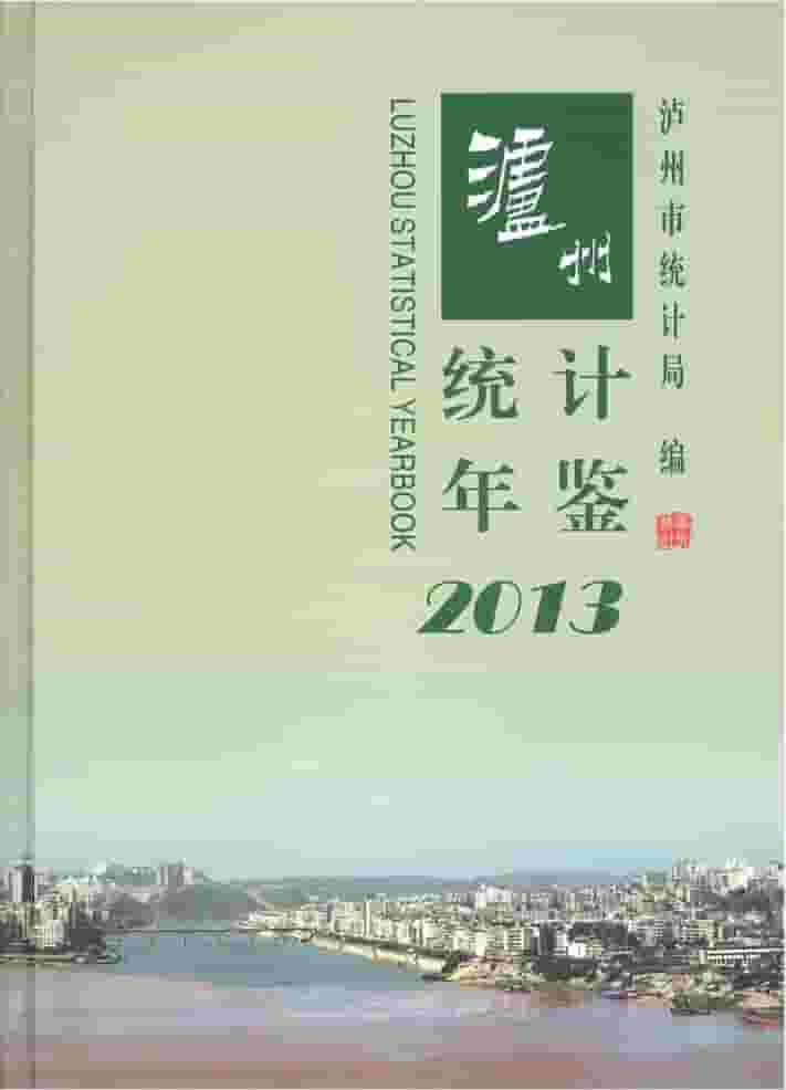 2013年泸州统计年鉴封面