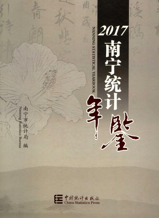 2017年南宁统计年鉴