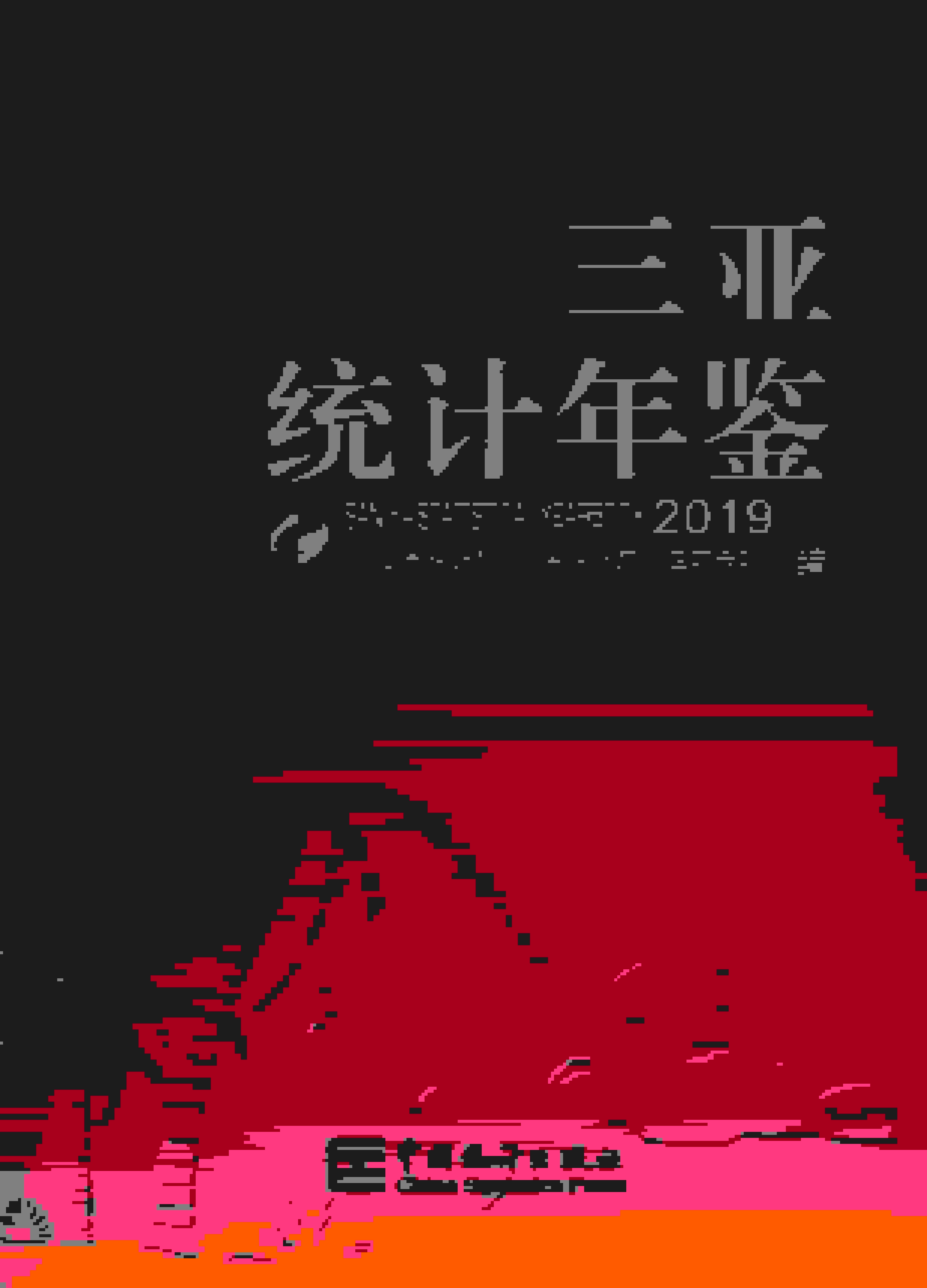 2019年三亚统计年鉴