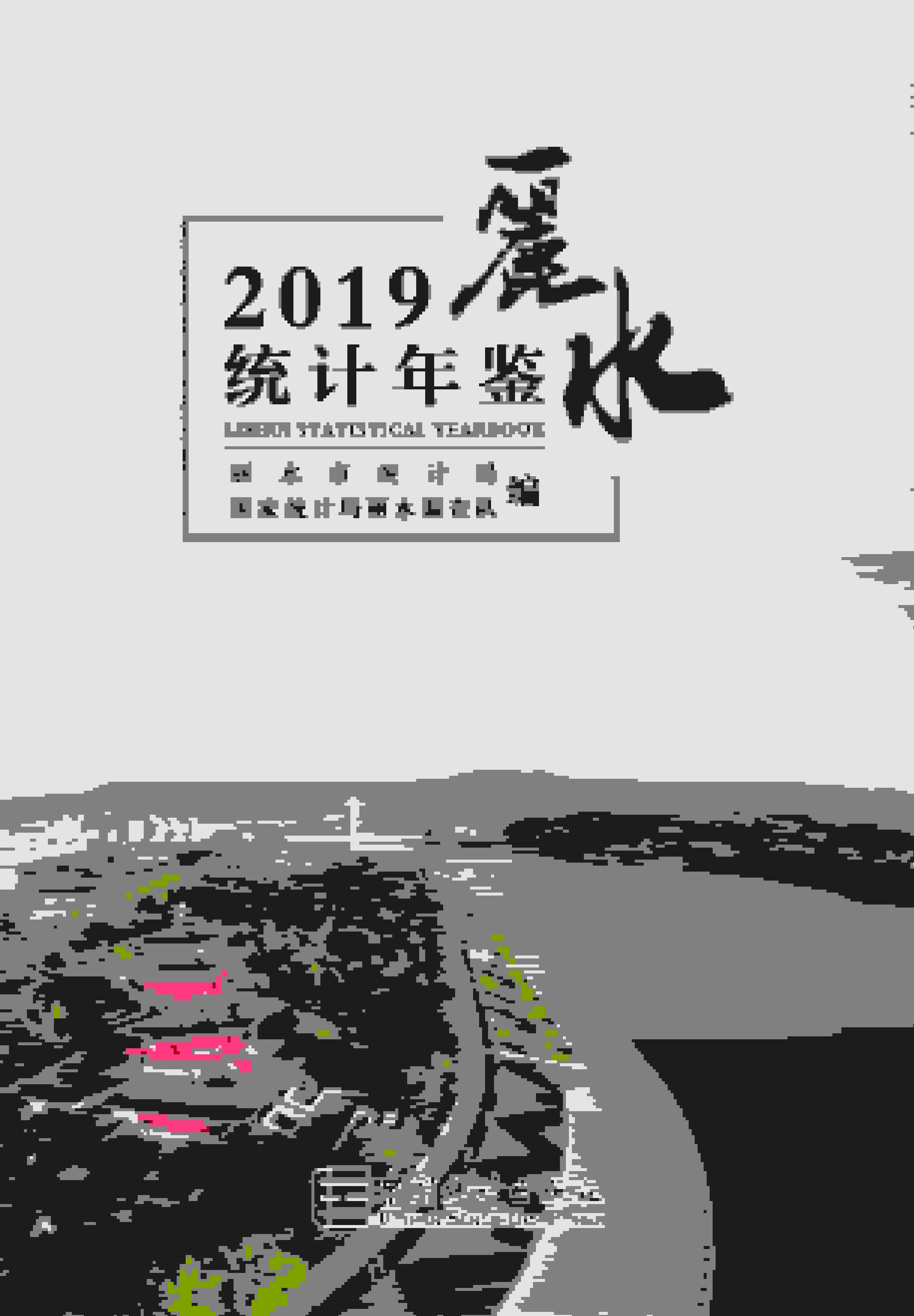 2019年丽水统计年鉴