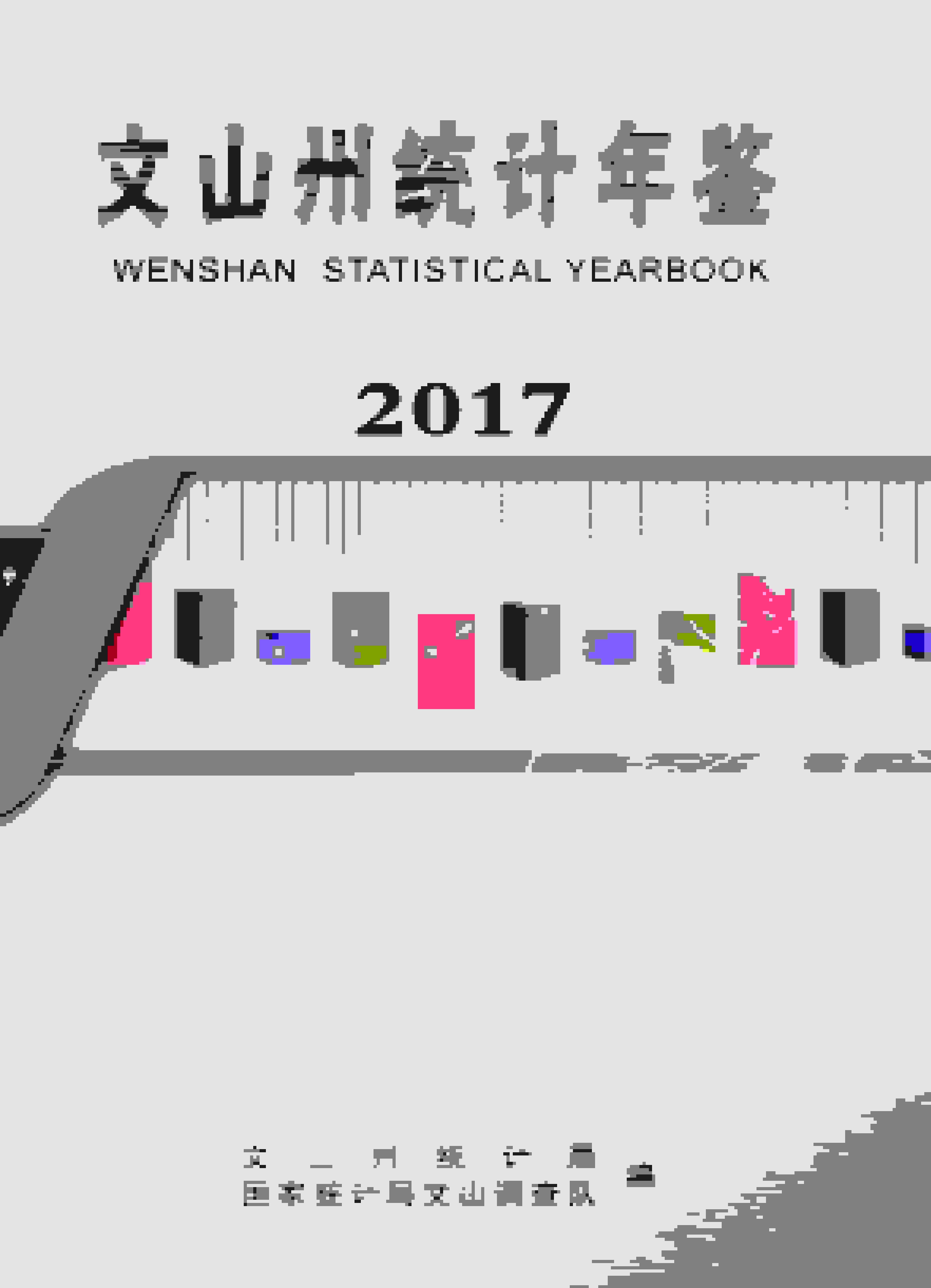 2017年文山州统计年鉴