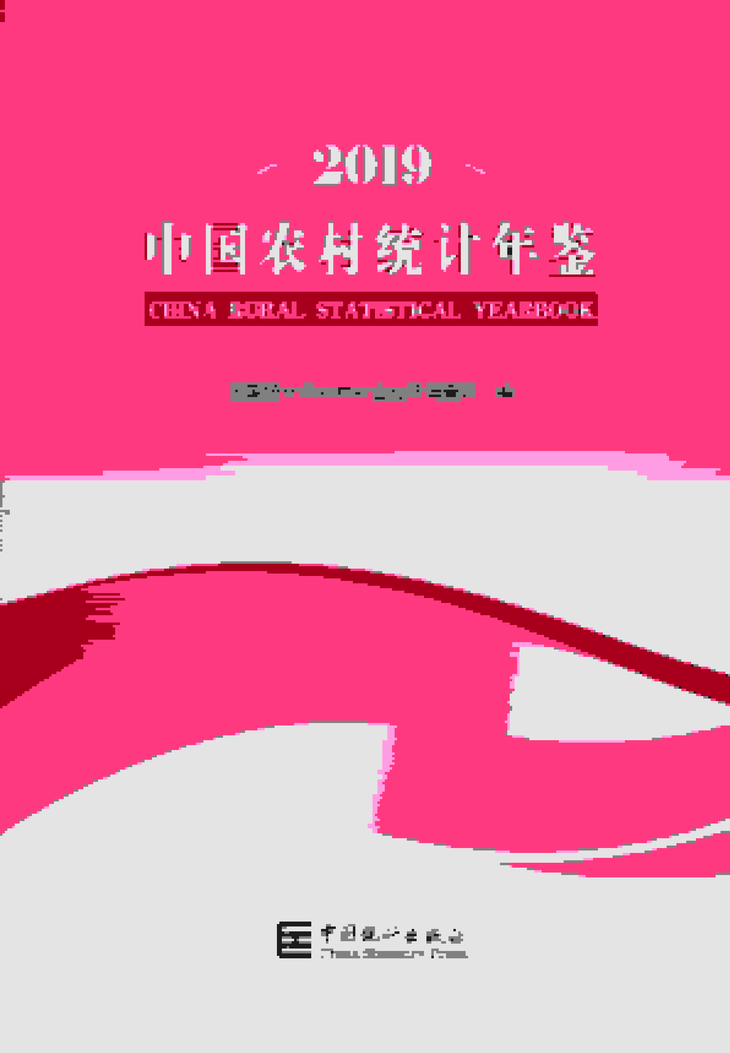 2019年中国农村统计年鉴