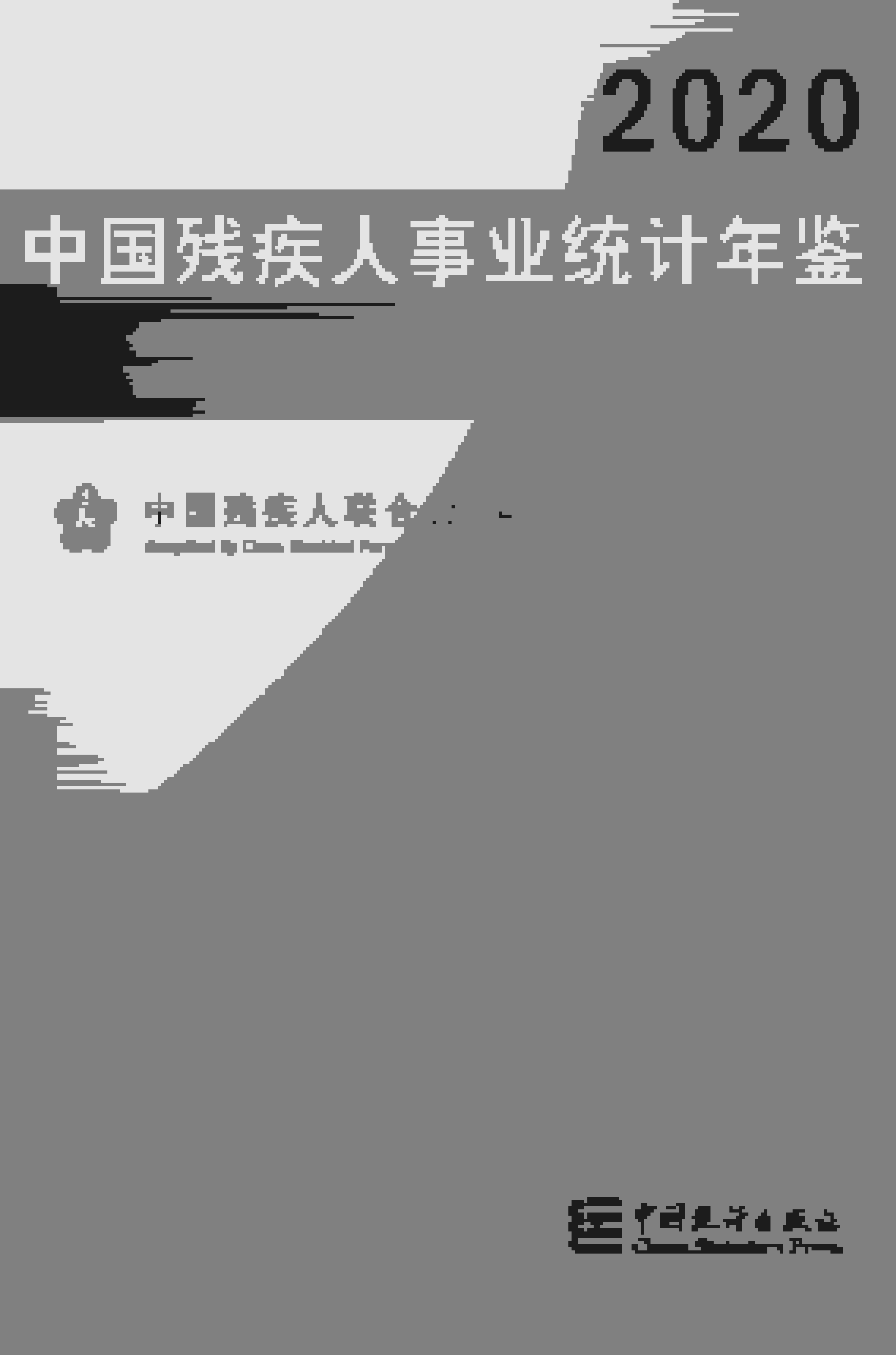 2020年中国残疾人事业统计年鉴