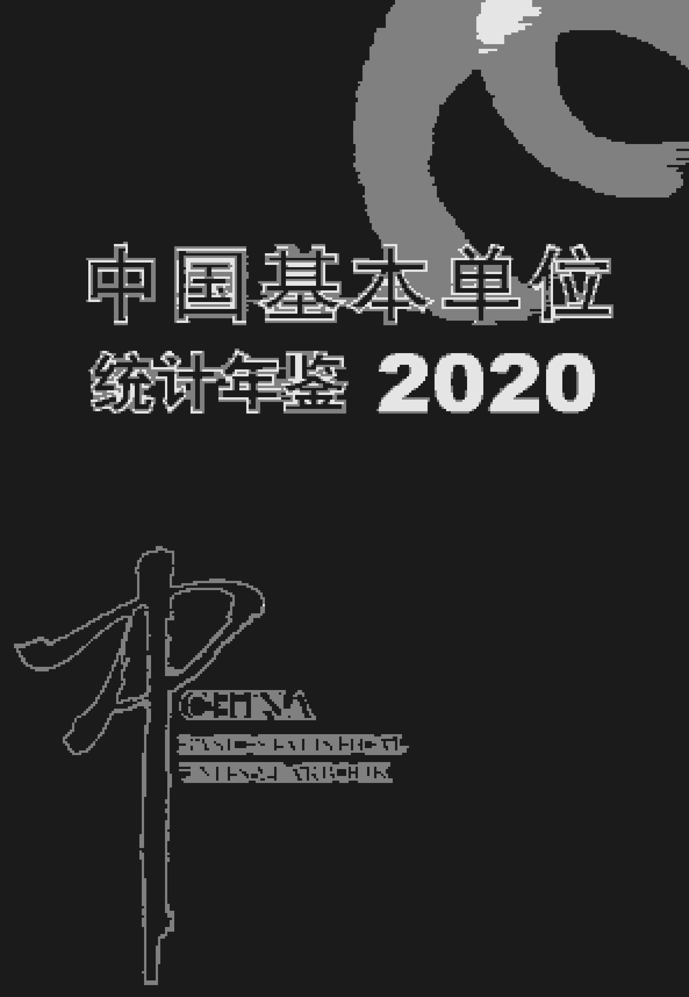 2020年中国基本单位统计年鉴