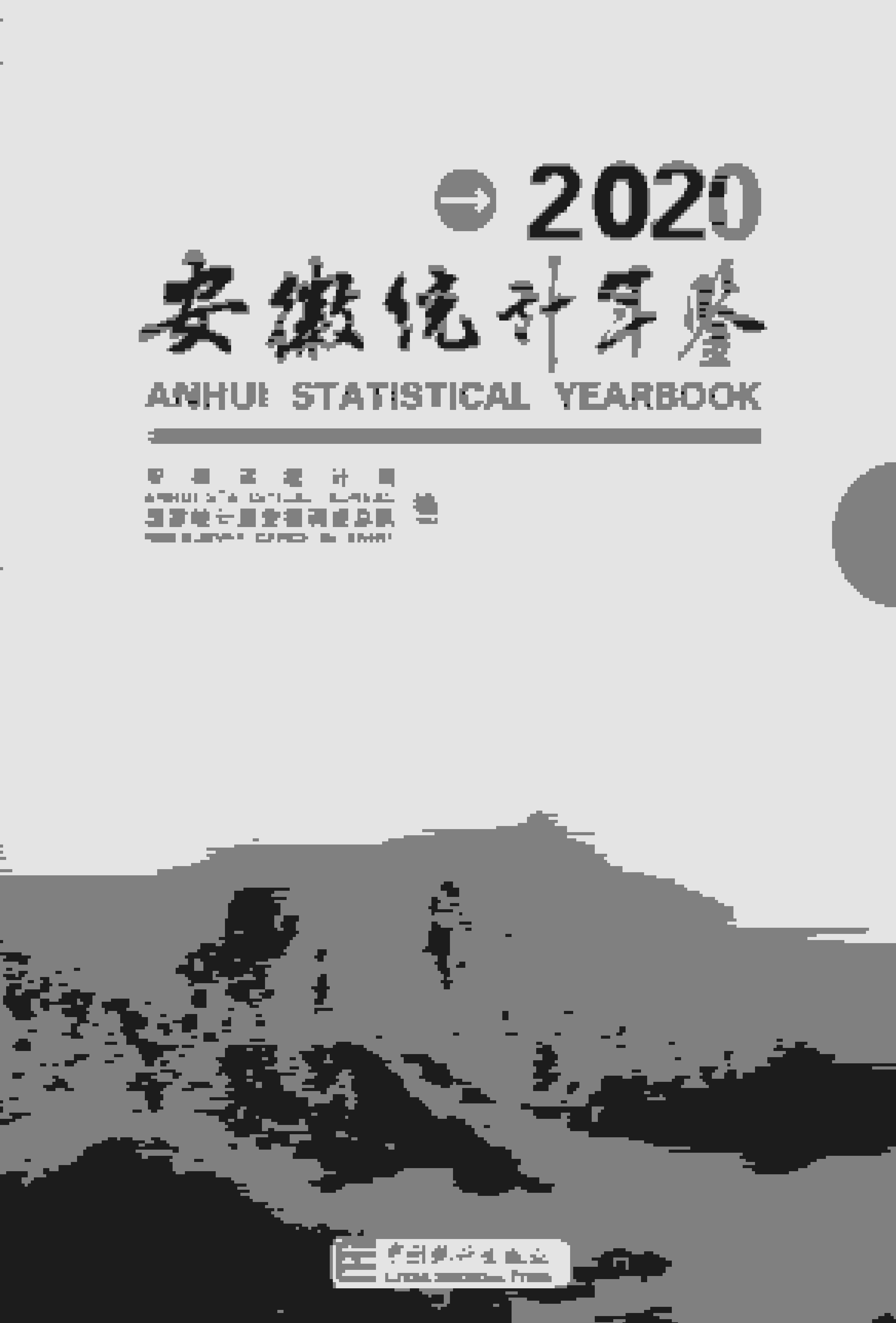 2020年安徽统计年鉴