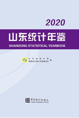 2020年山东统计年鉴