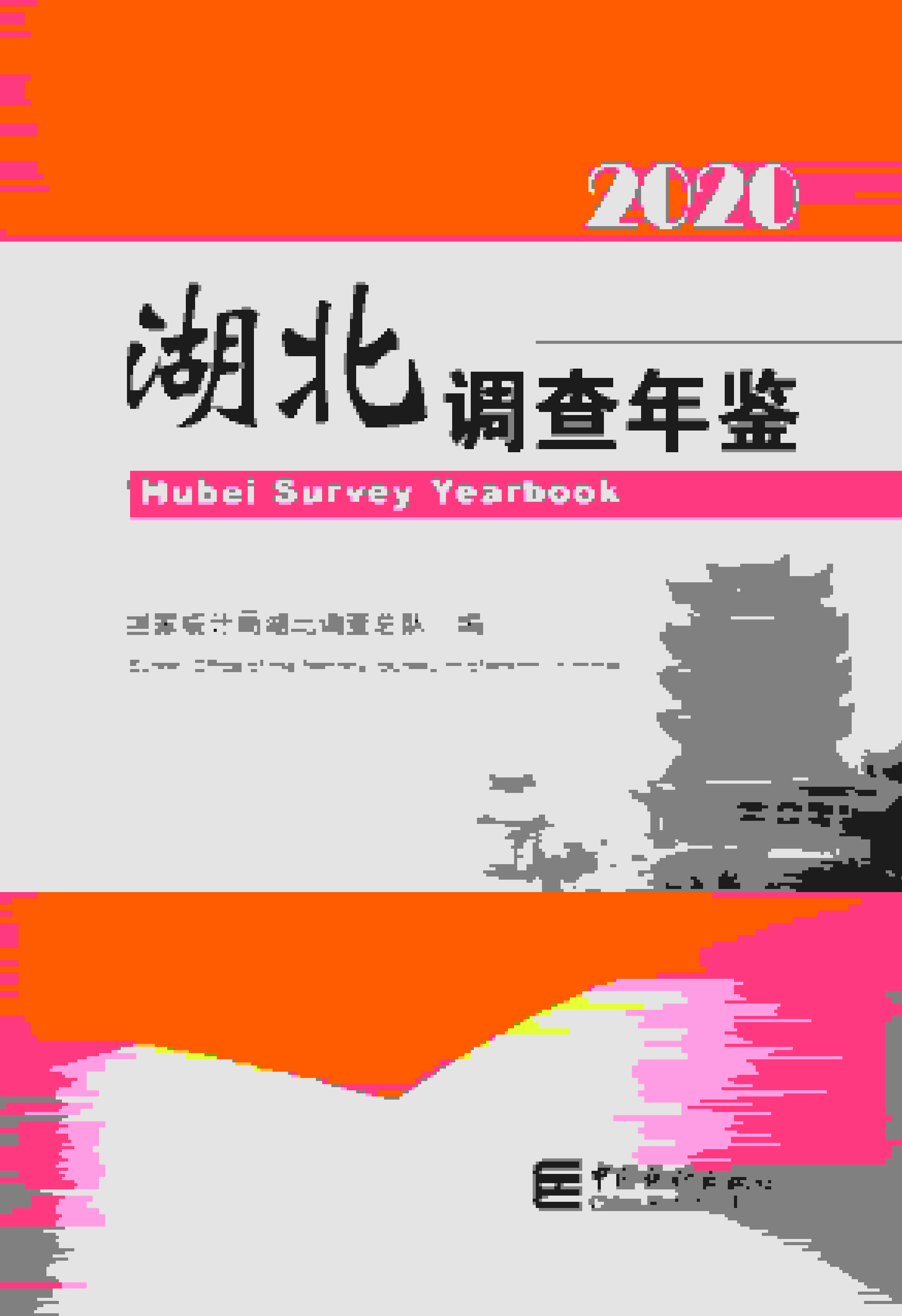 2020年湖北调查年鉴