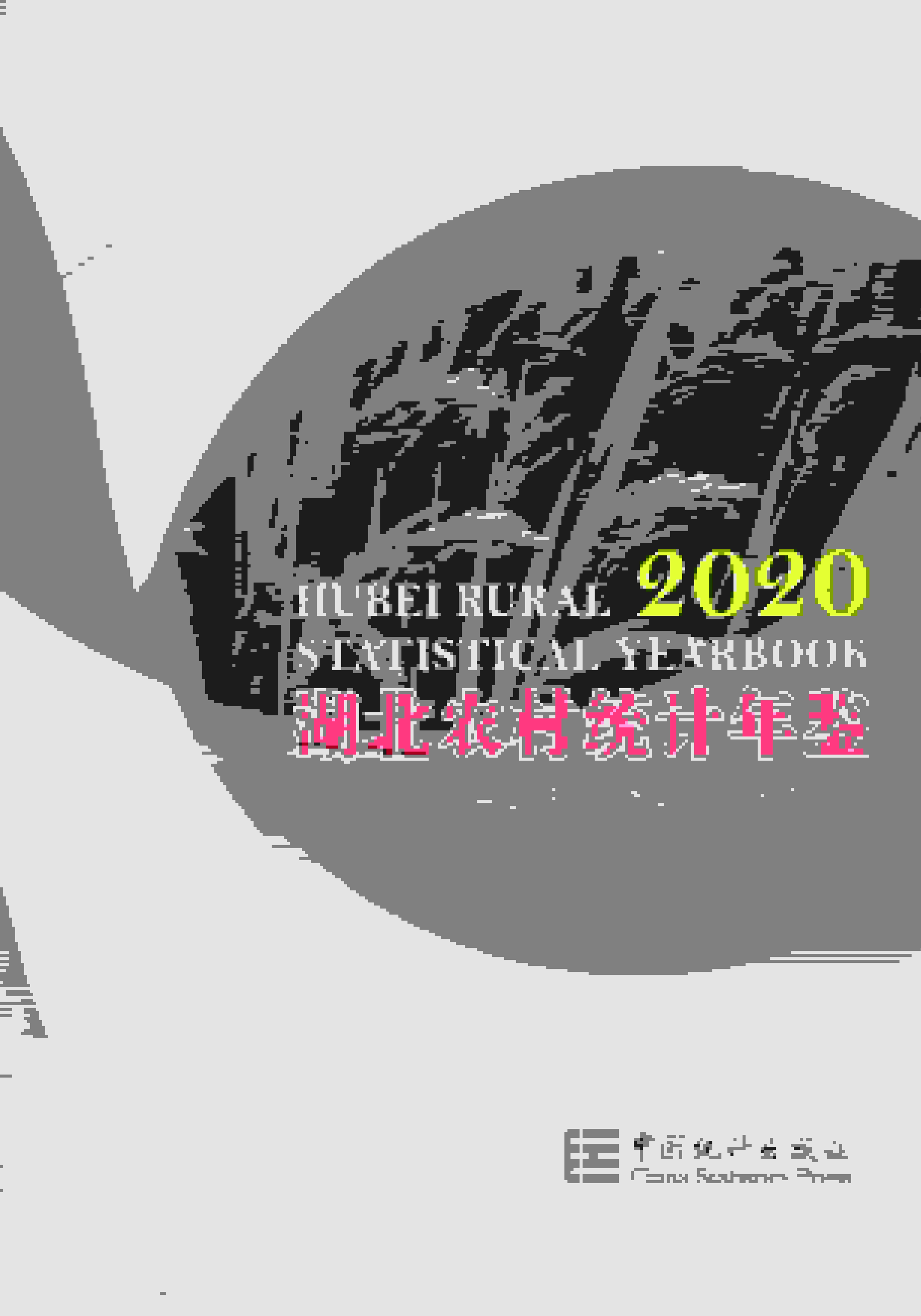 2020年湖北农村统计年鉴