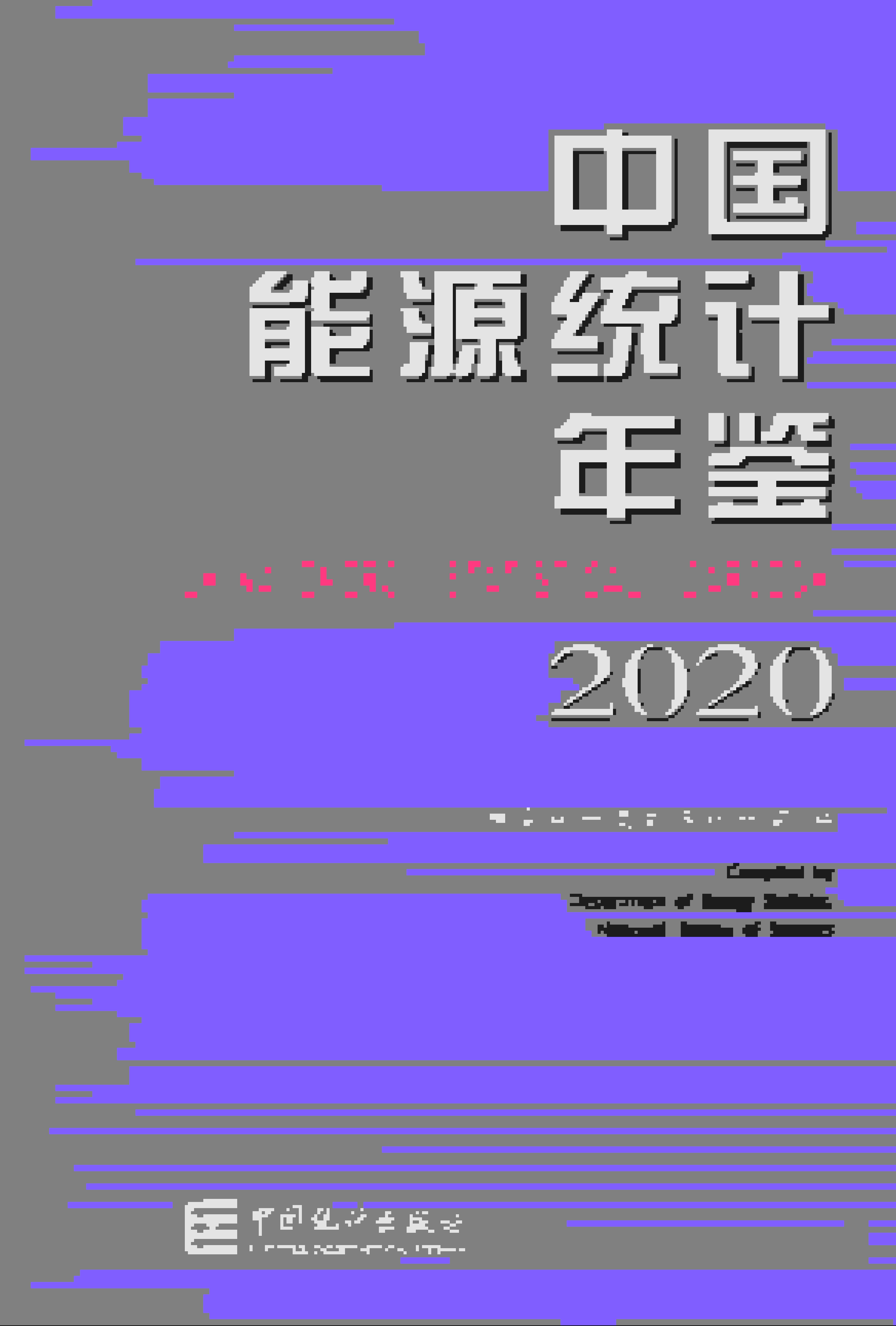 2020年中国能源统计年鉴