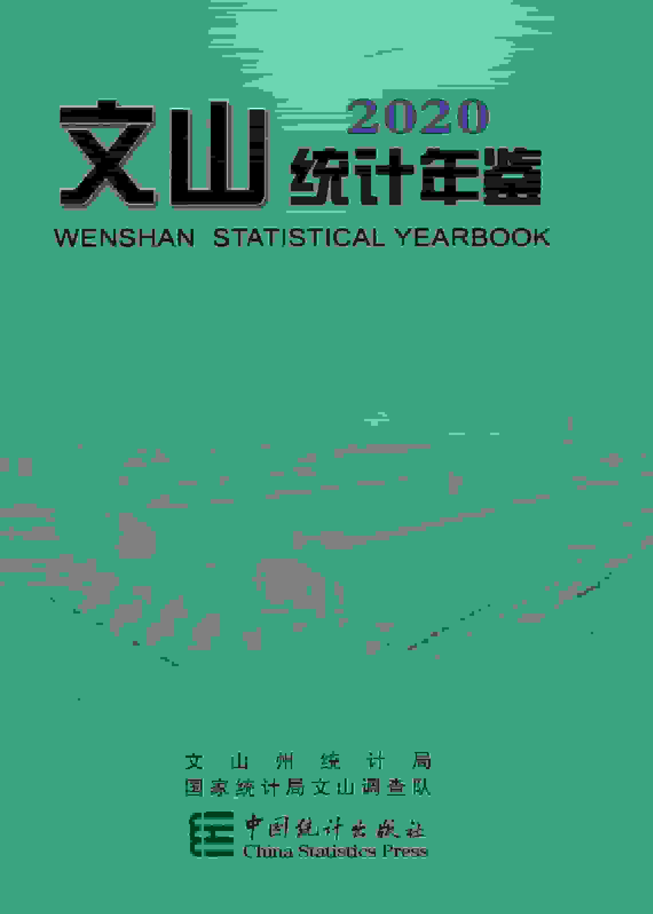 2020年文山州统计年鉴
