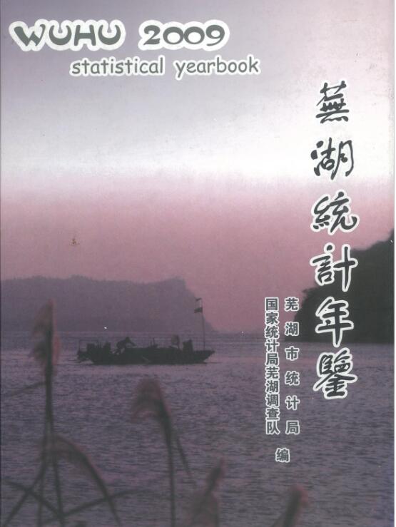 2009年芜湖统计年鉴