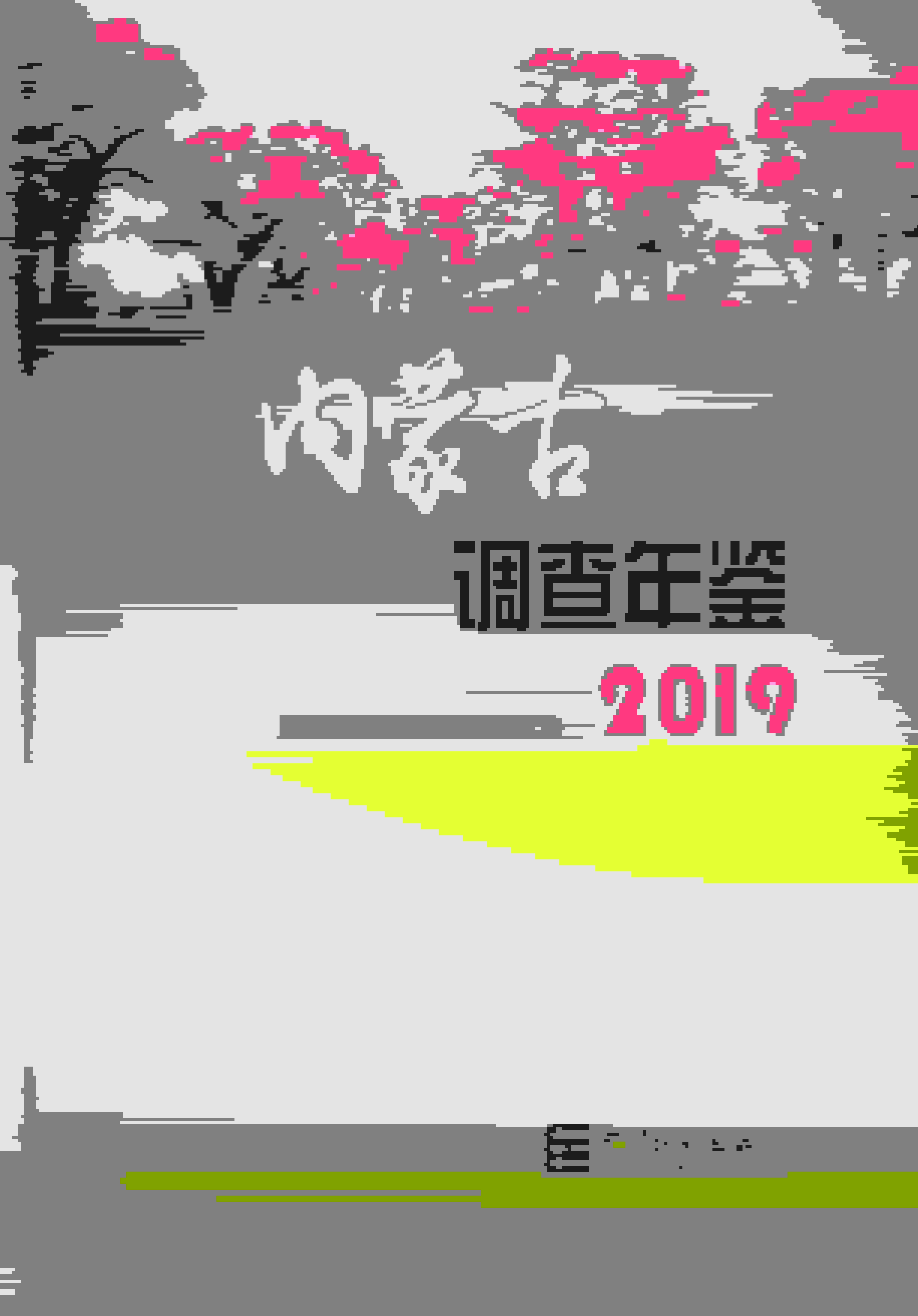 2019年内蒙古调查年鉴