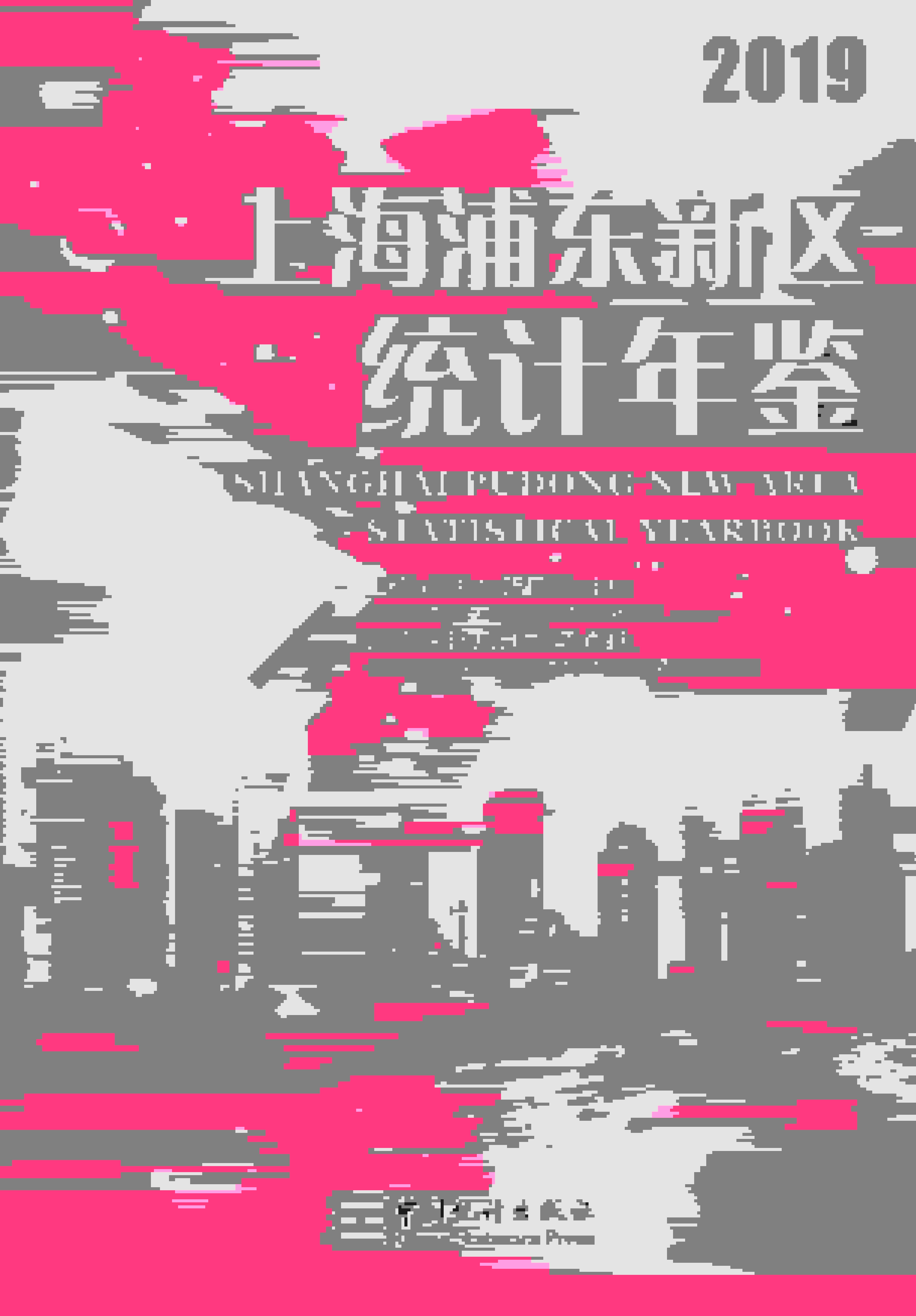 2019年上海浦东新区统计年鉴