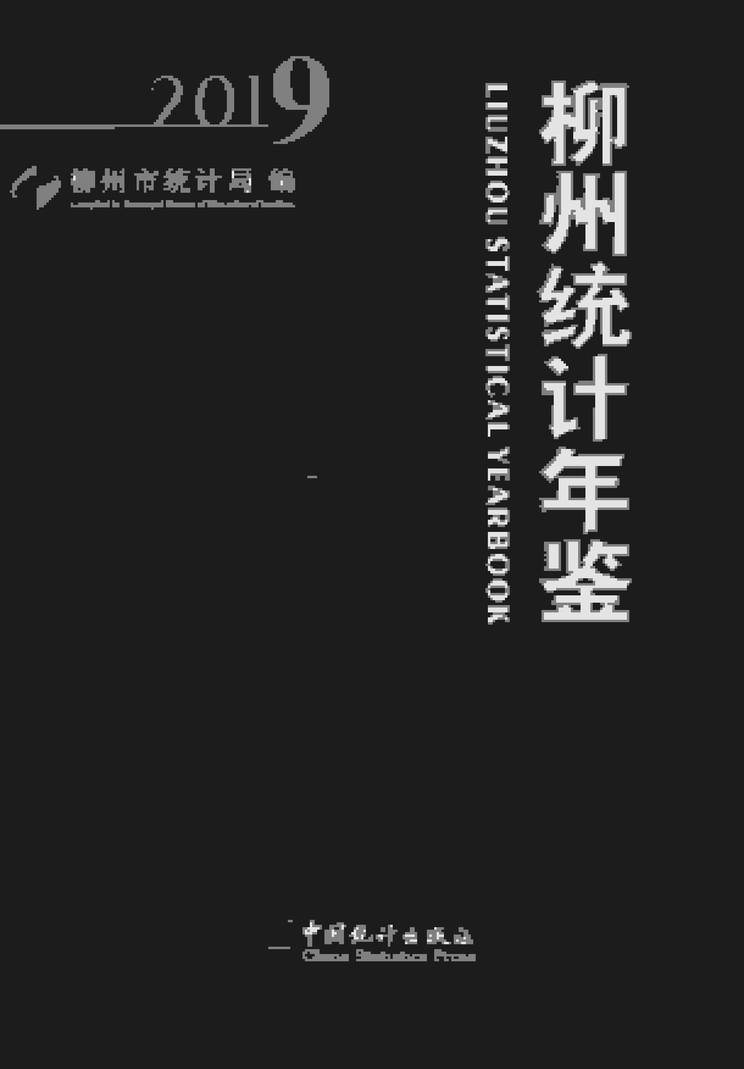 2019年柳州统计年鉴