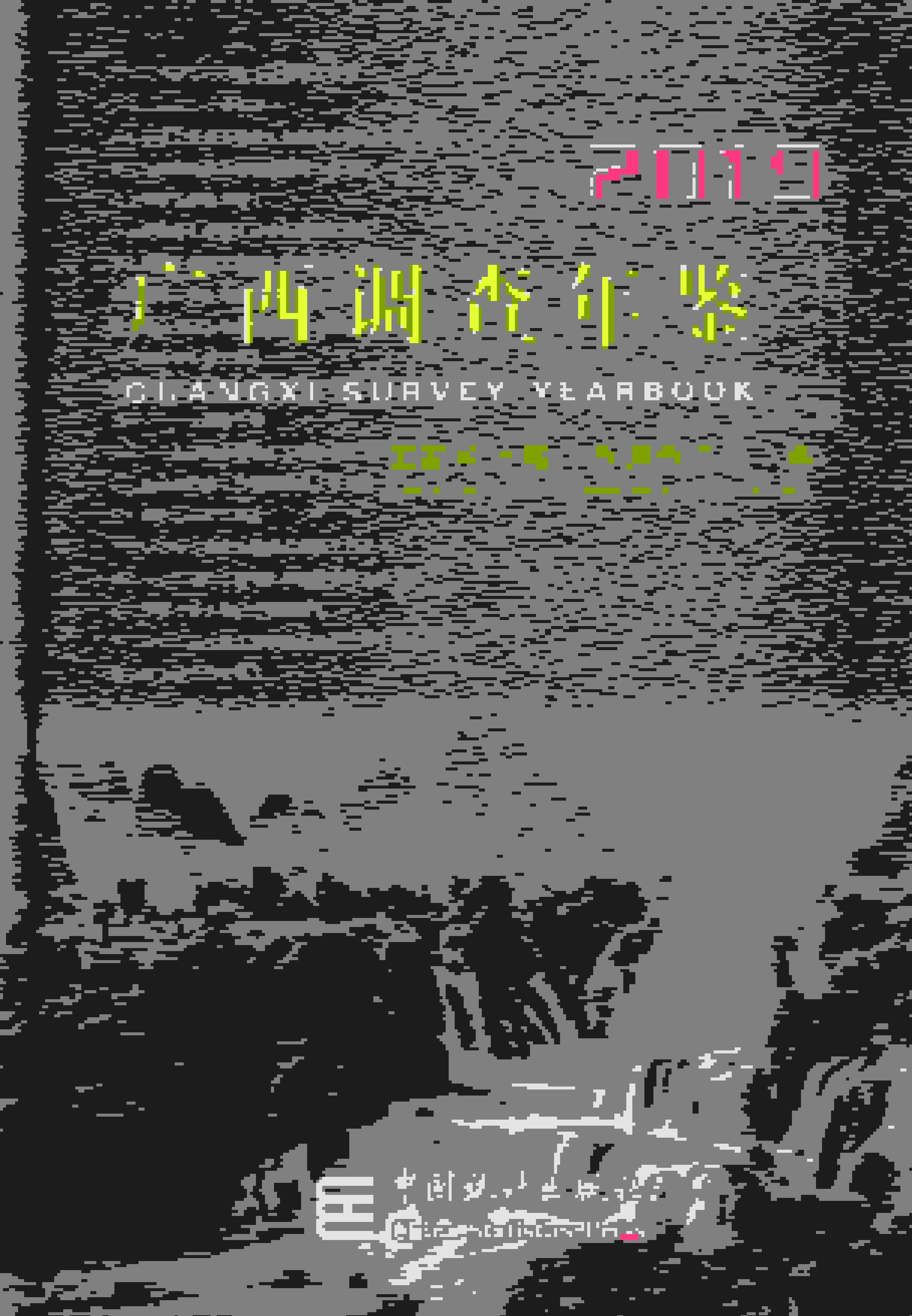 2019年广西调查年鉴