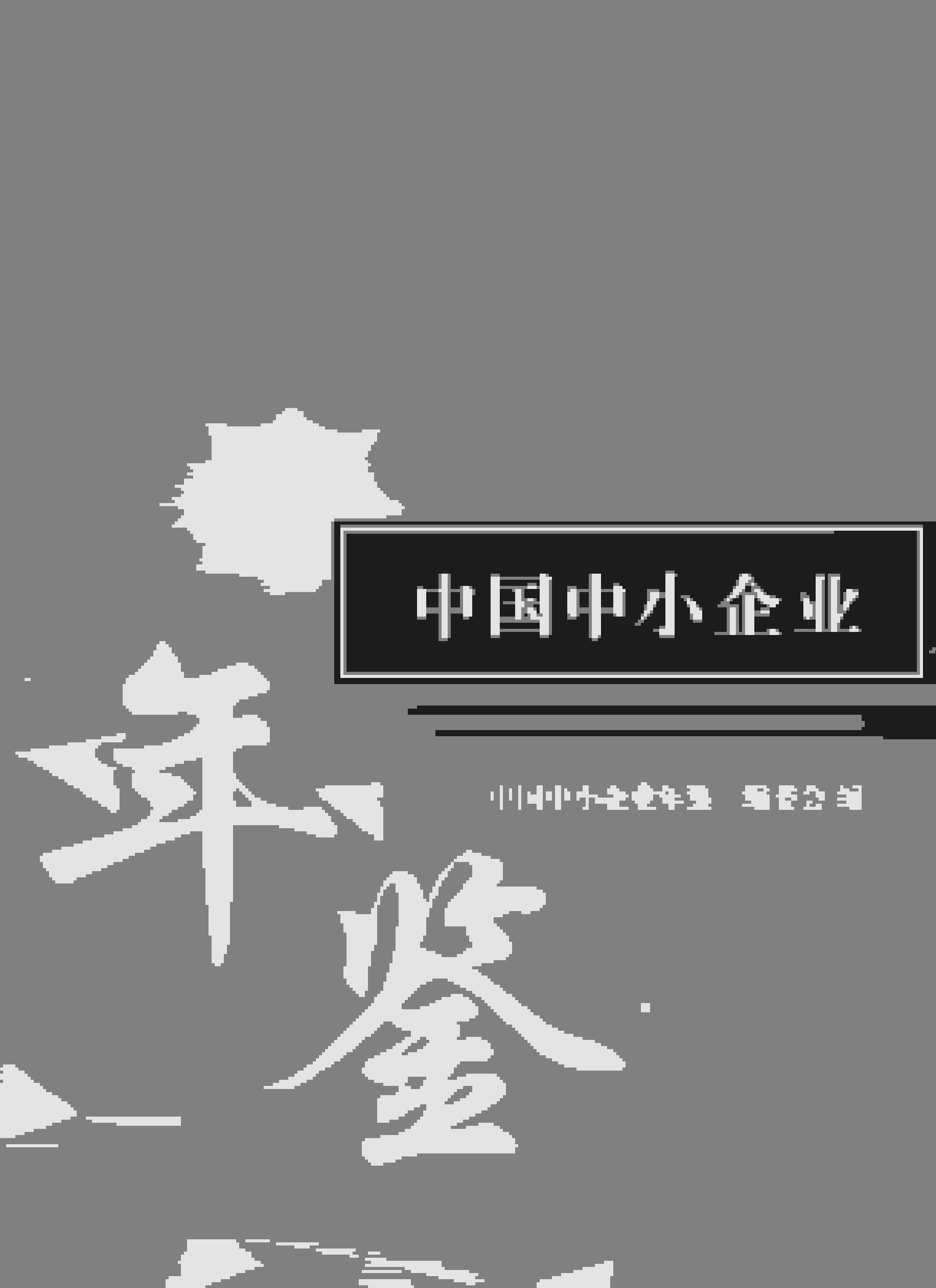 2018年中国中小企业年鉴