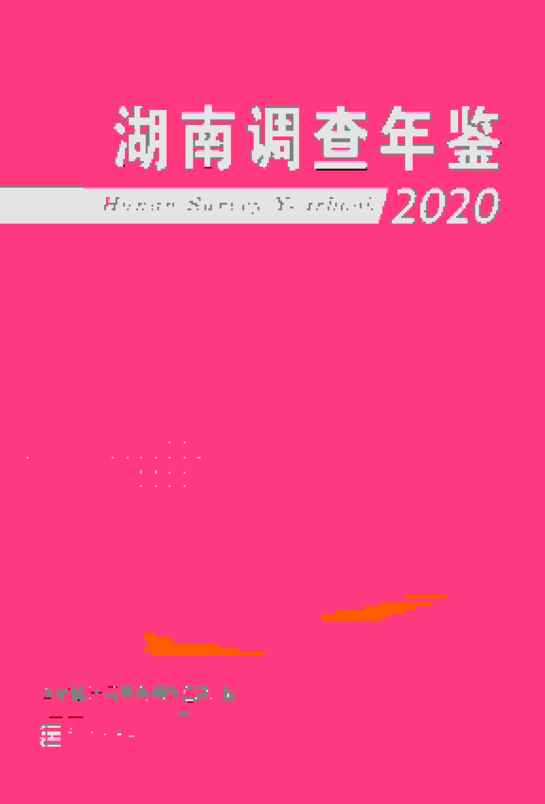 2020年湖南调查年鉴