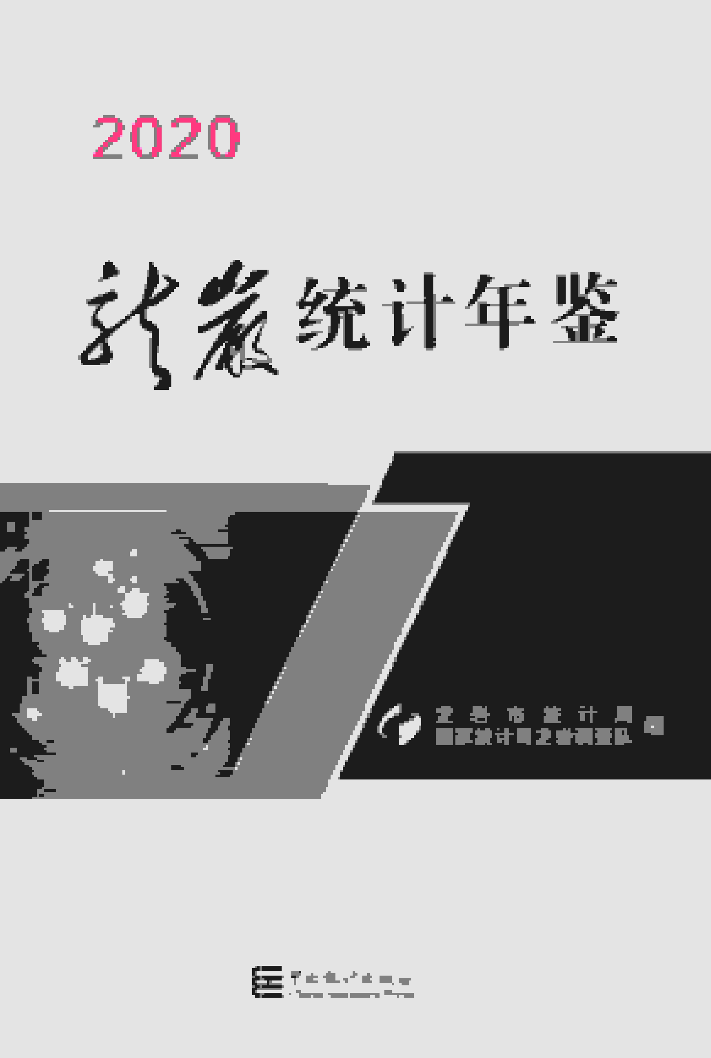 2020年龙岩统计年鉴