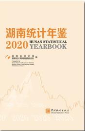 2020年湖南统计年鉴