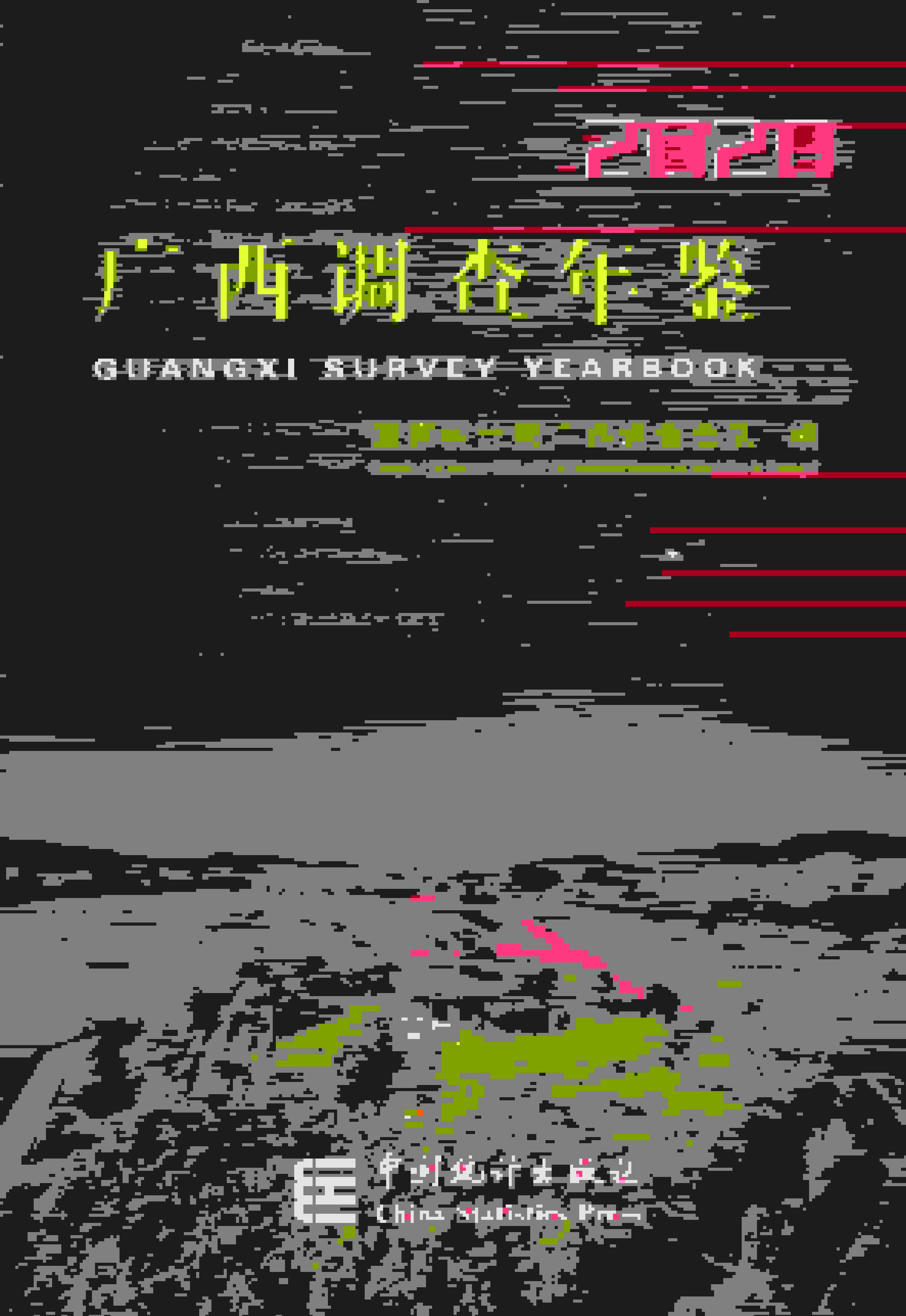 2020年广西调查年鉴