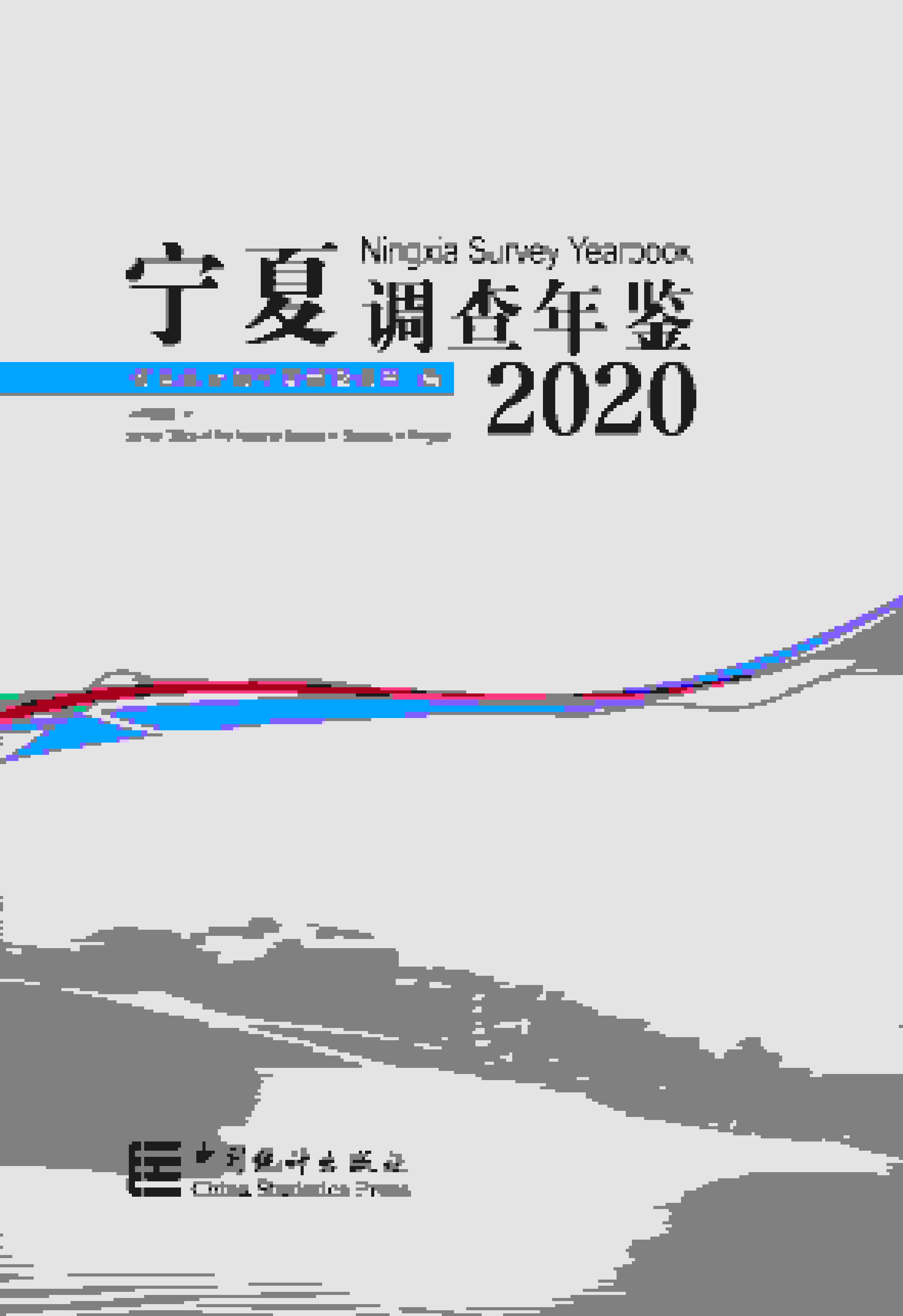 2020年宁夏调查年鉴