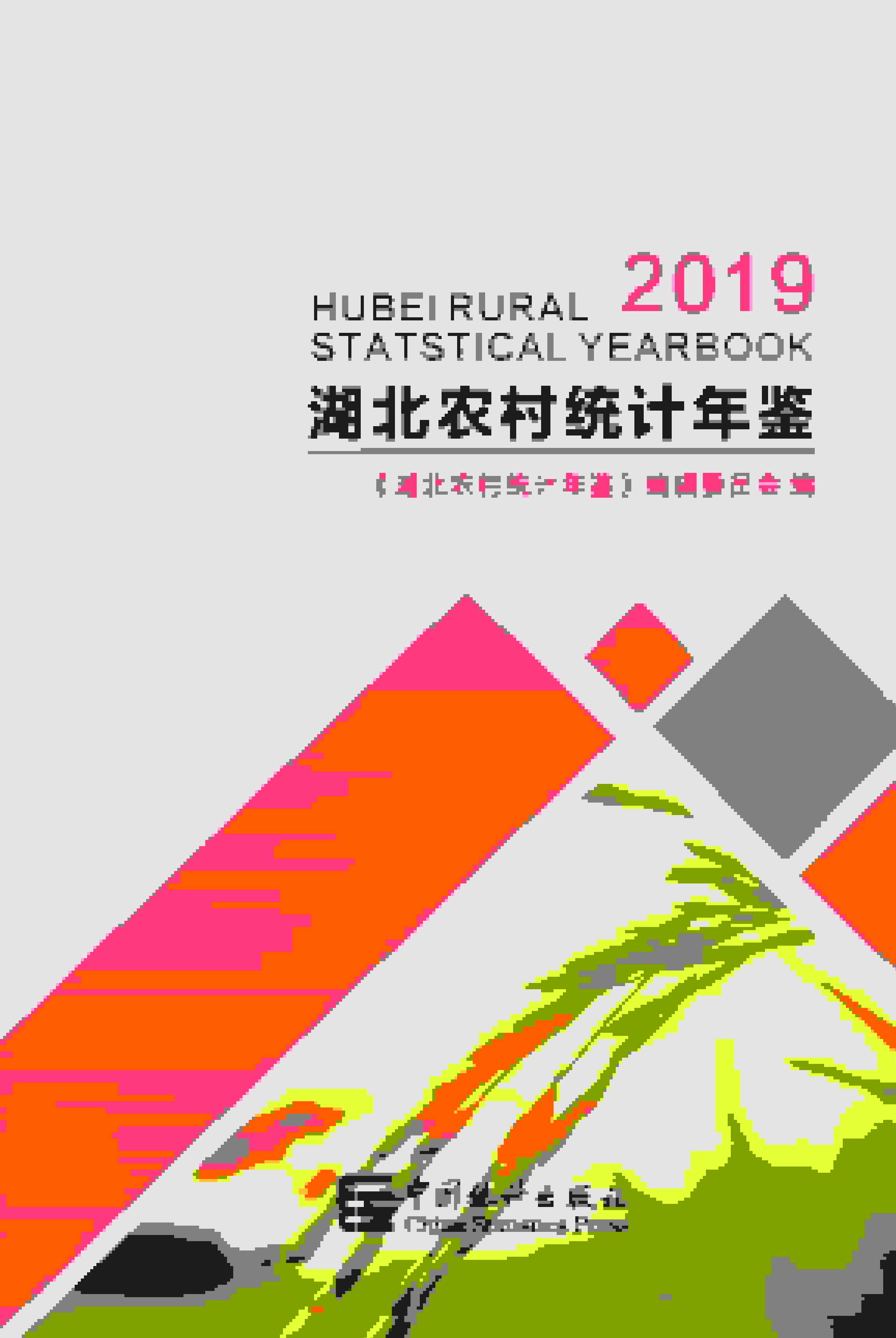 2019年湖北农村统计年鉴