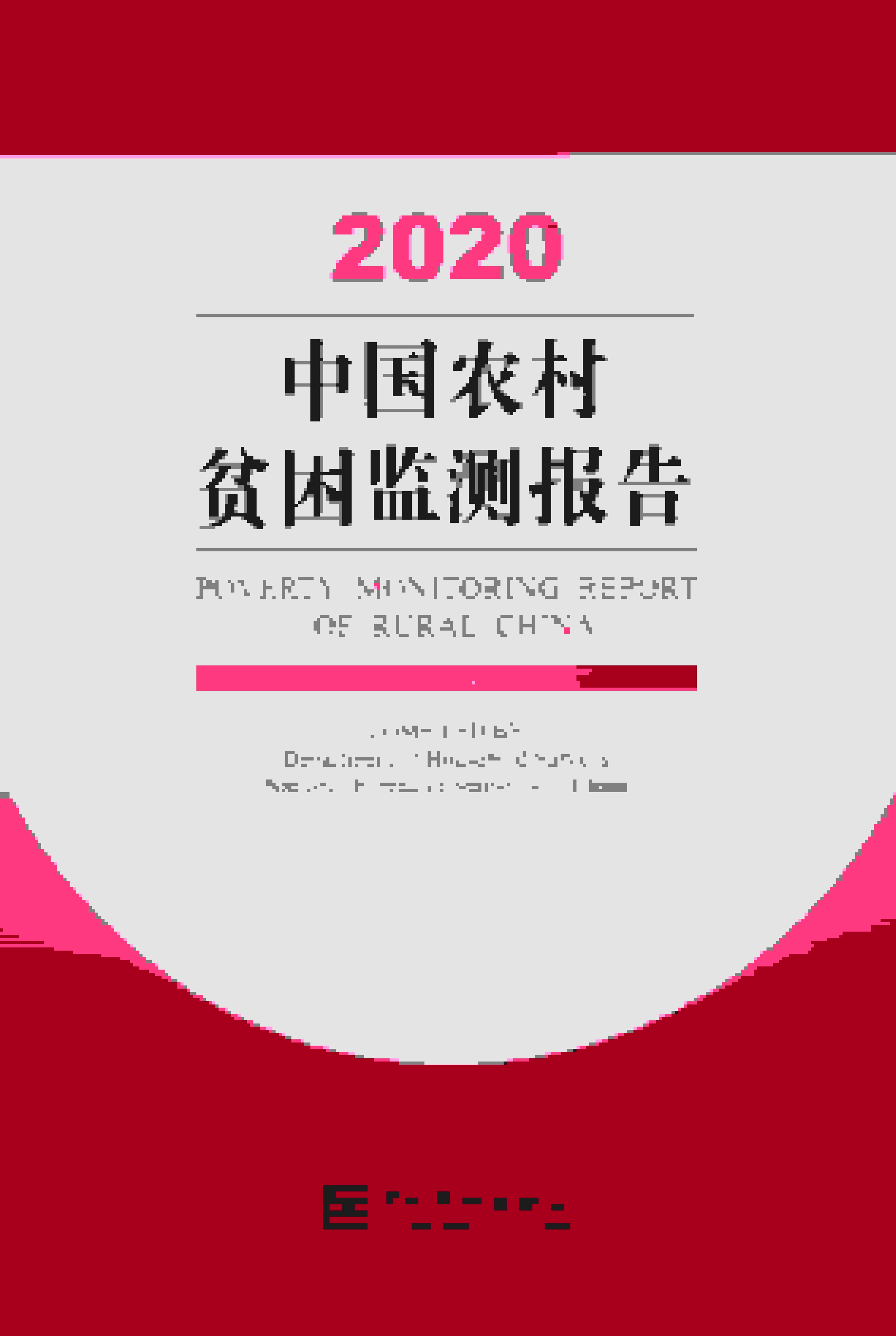 2020年中国农村贫困监测报告