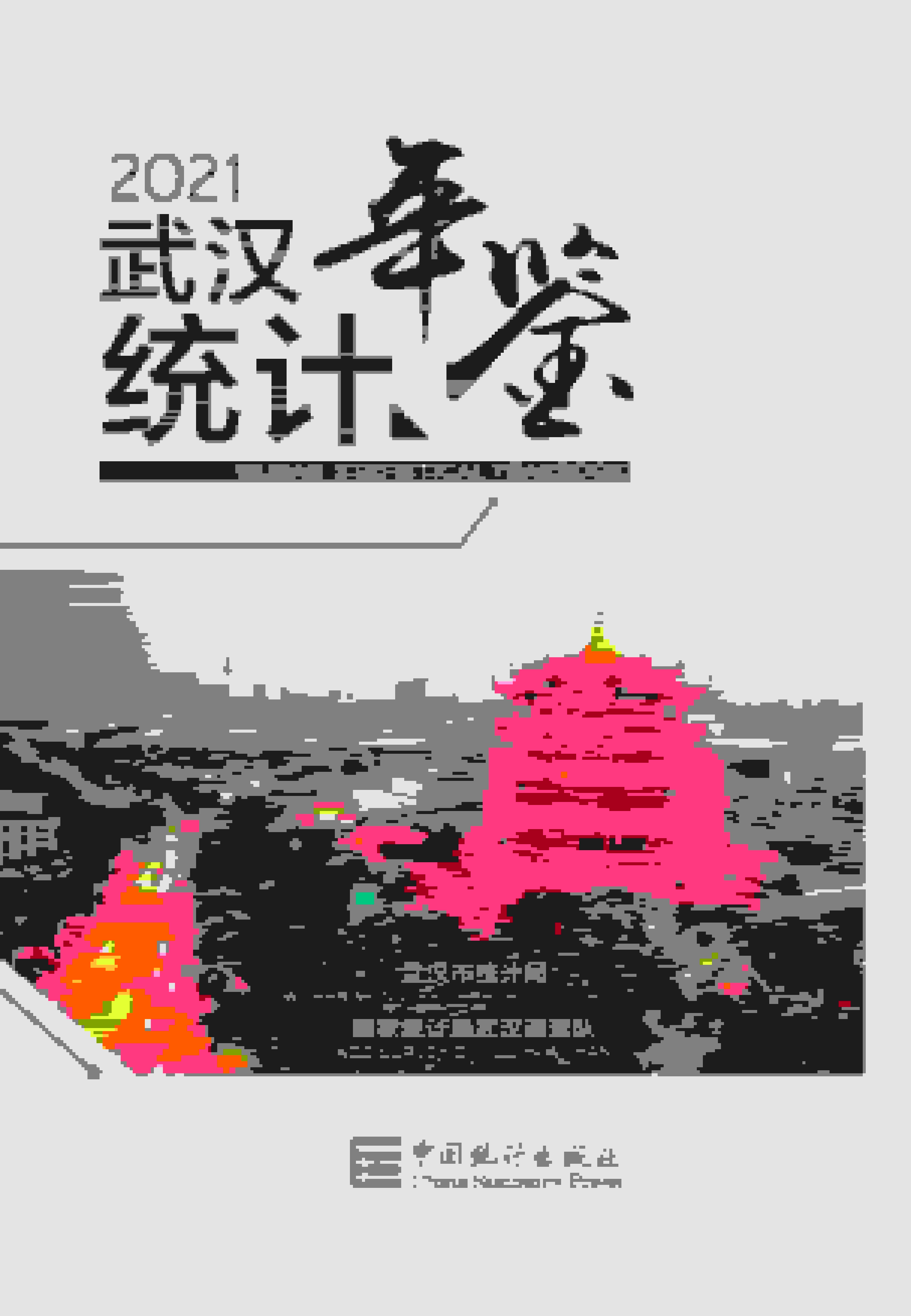 2021年武汉统计年鉴