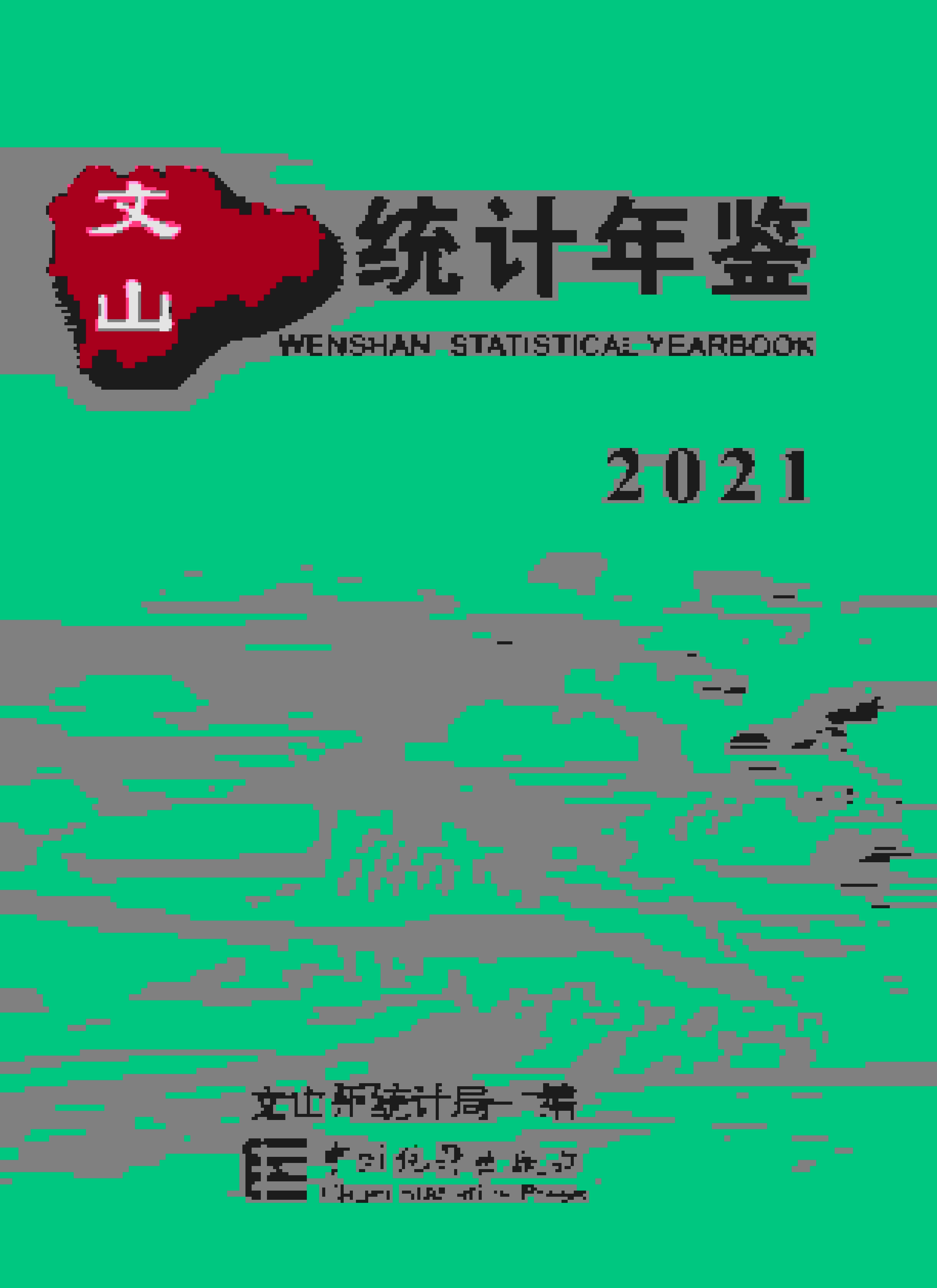 2021年文山州统计年鉴