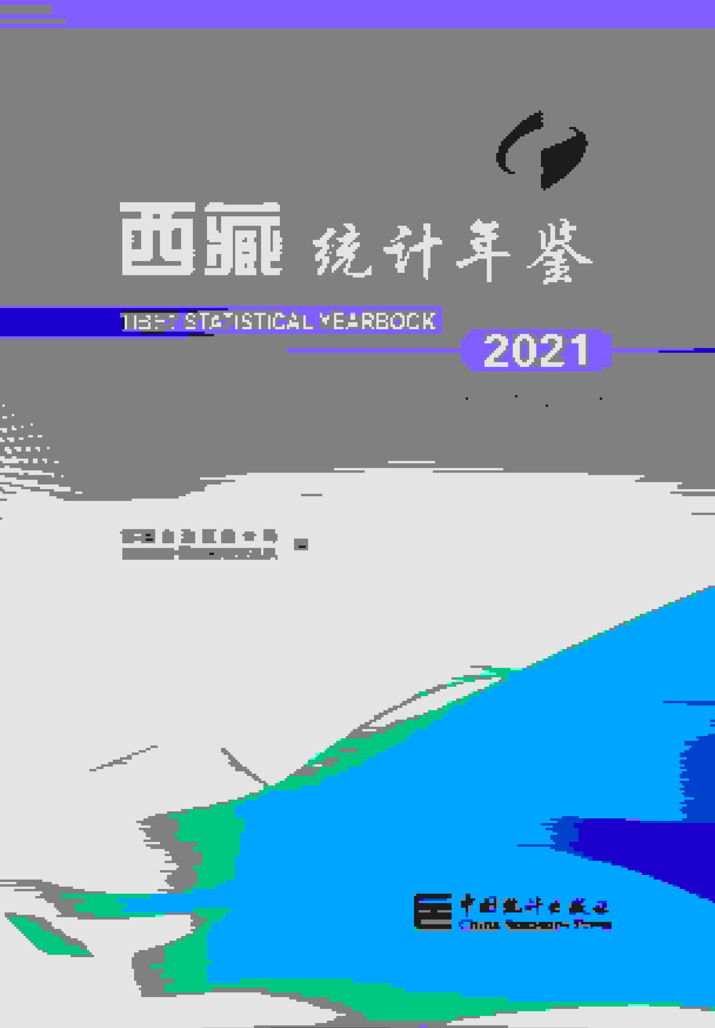 2021年西藏统计年鉴