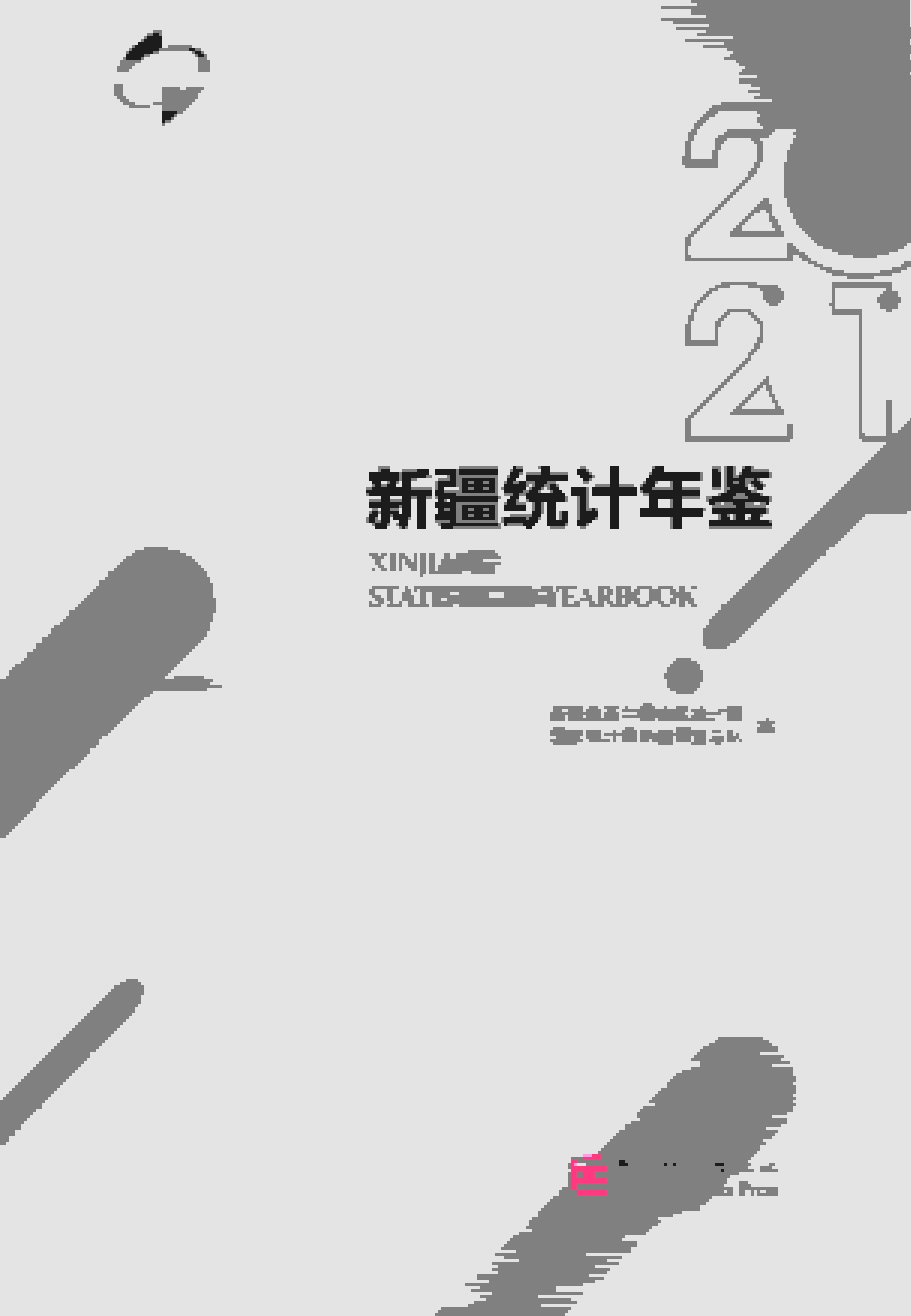 2021年新疆统计年鉴