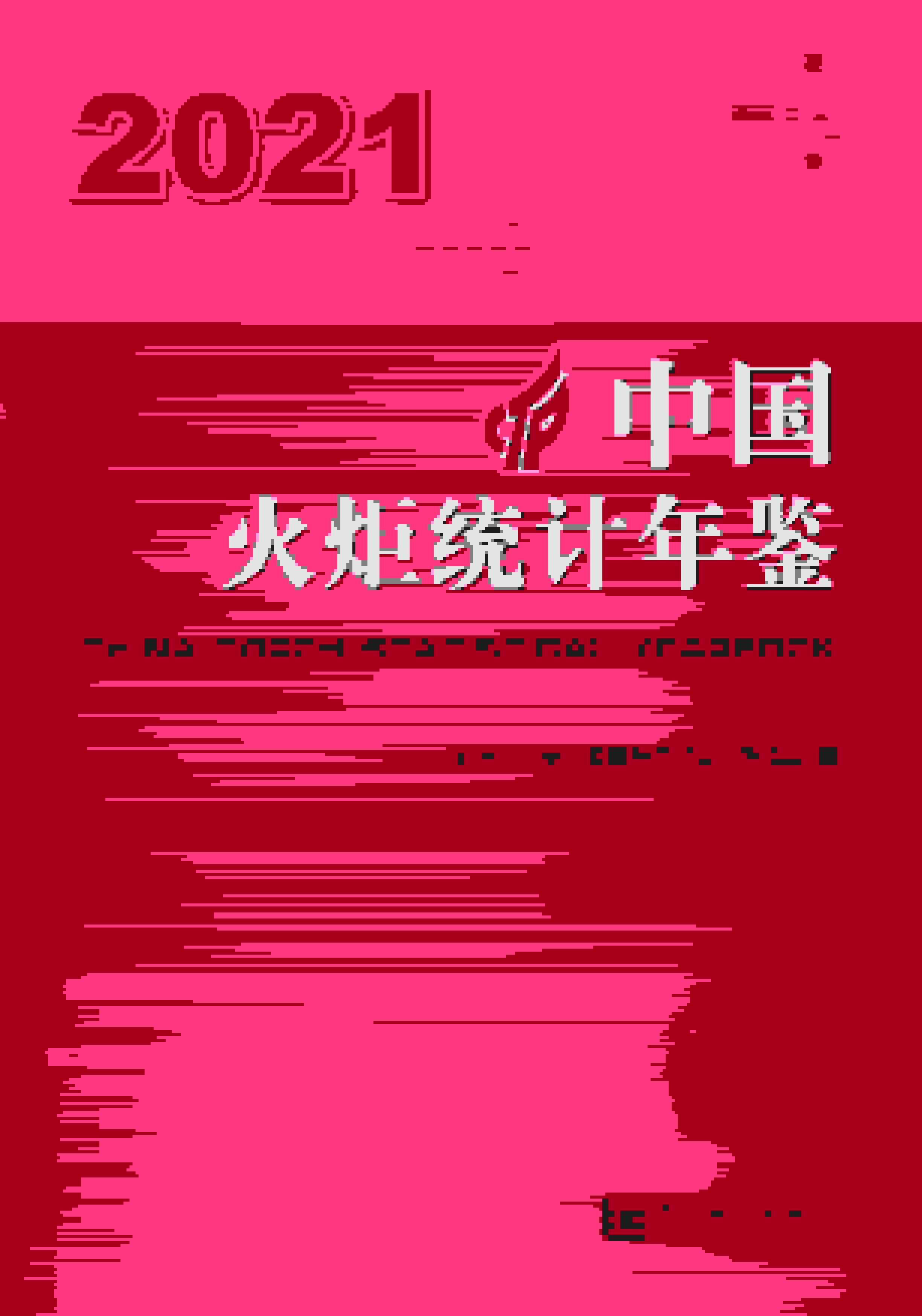2021年中国火炬统计年鉴