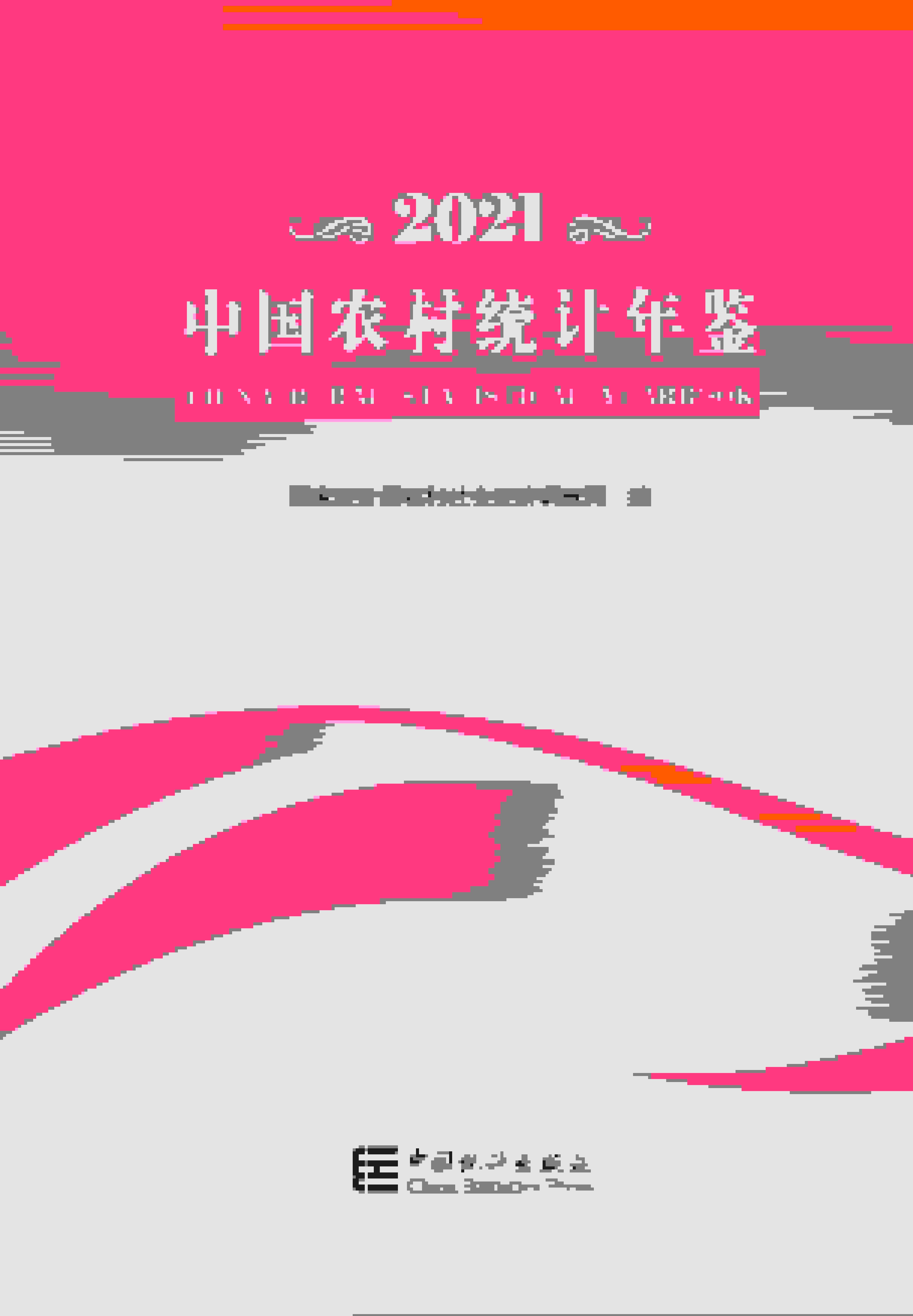 2021年中国农村统计年鉴