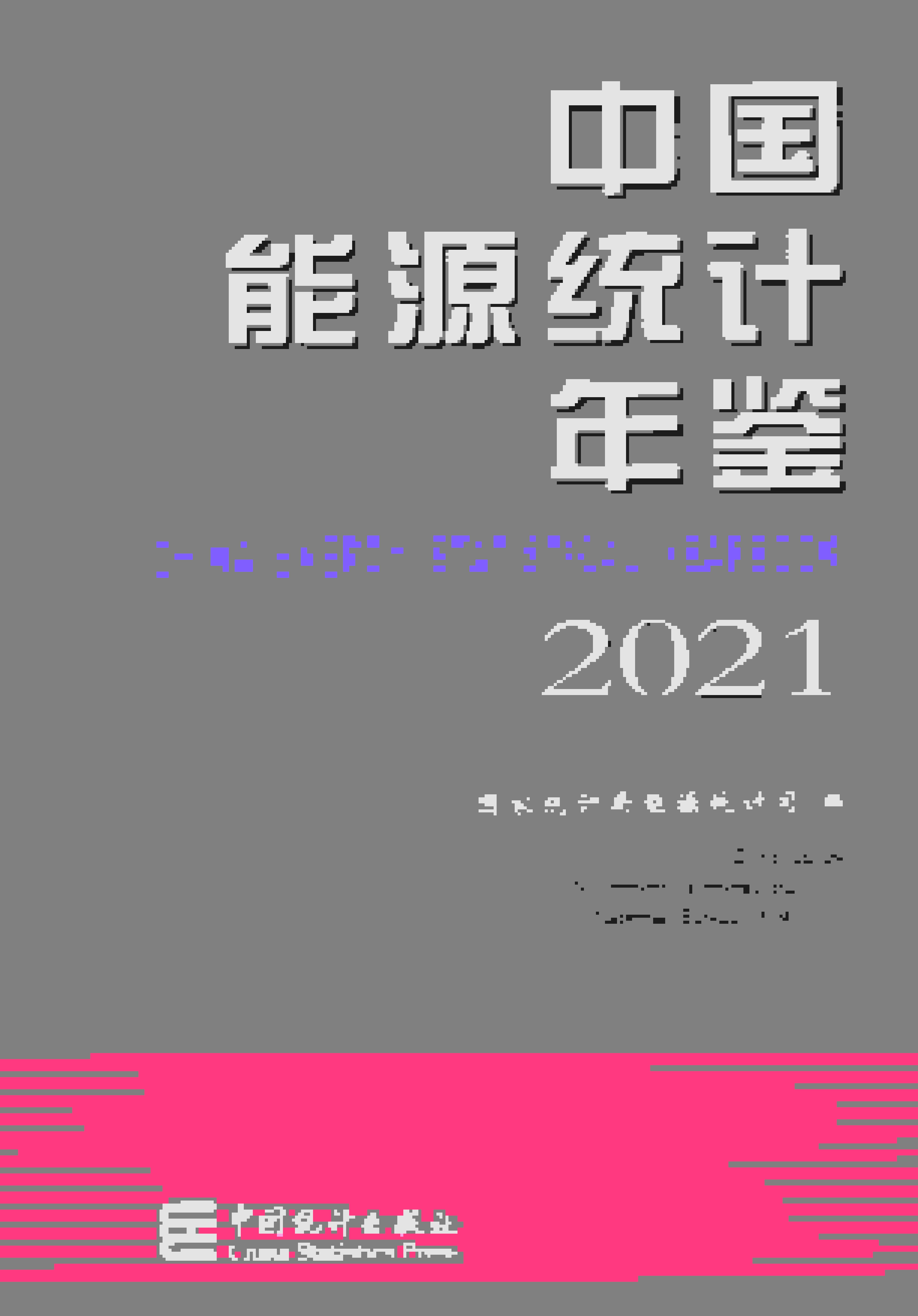2021年中国能源统计年鉴