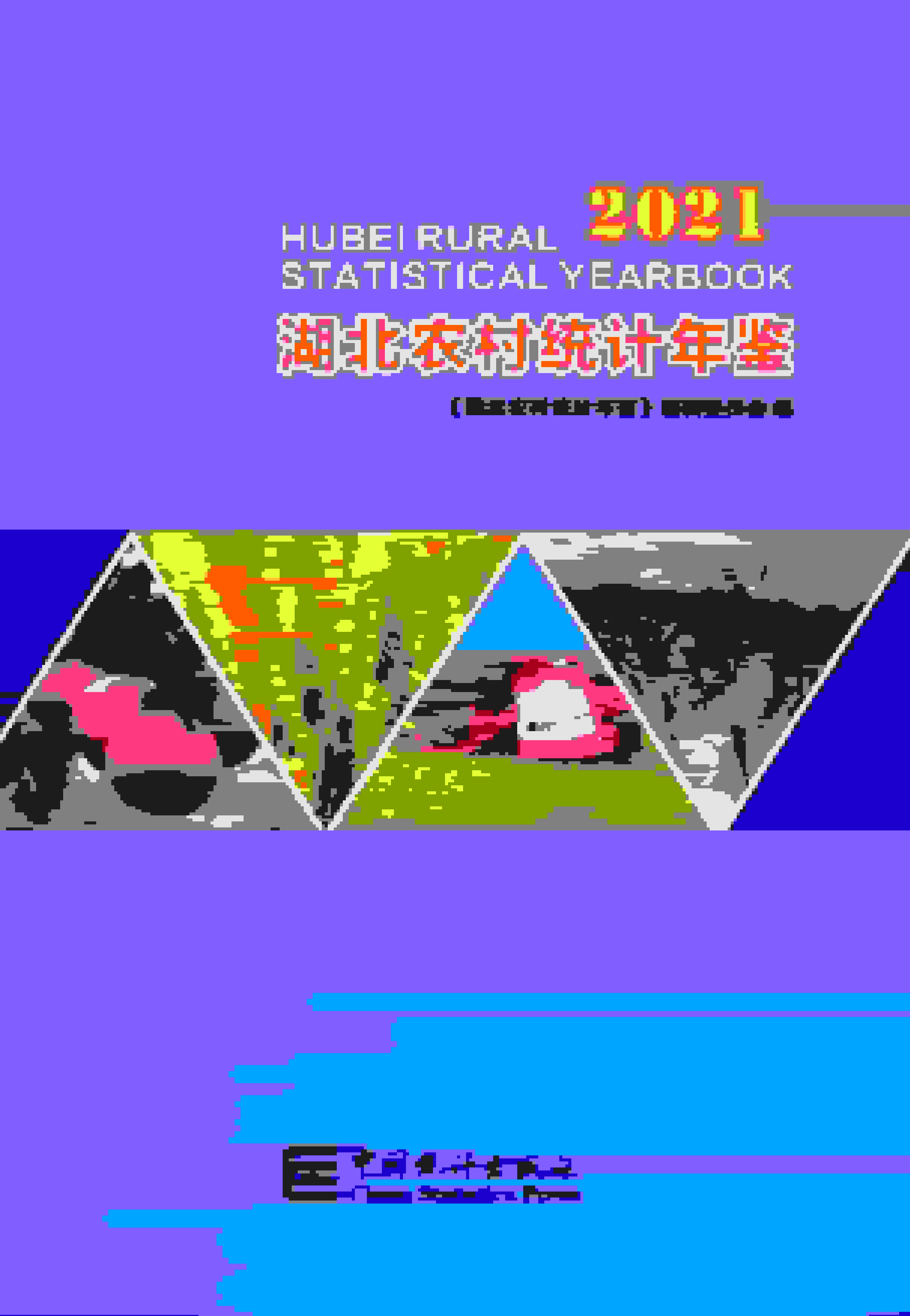 2021年湖北农村统计年鉴