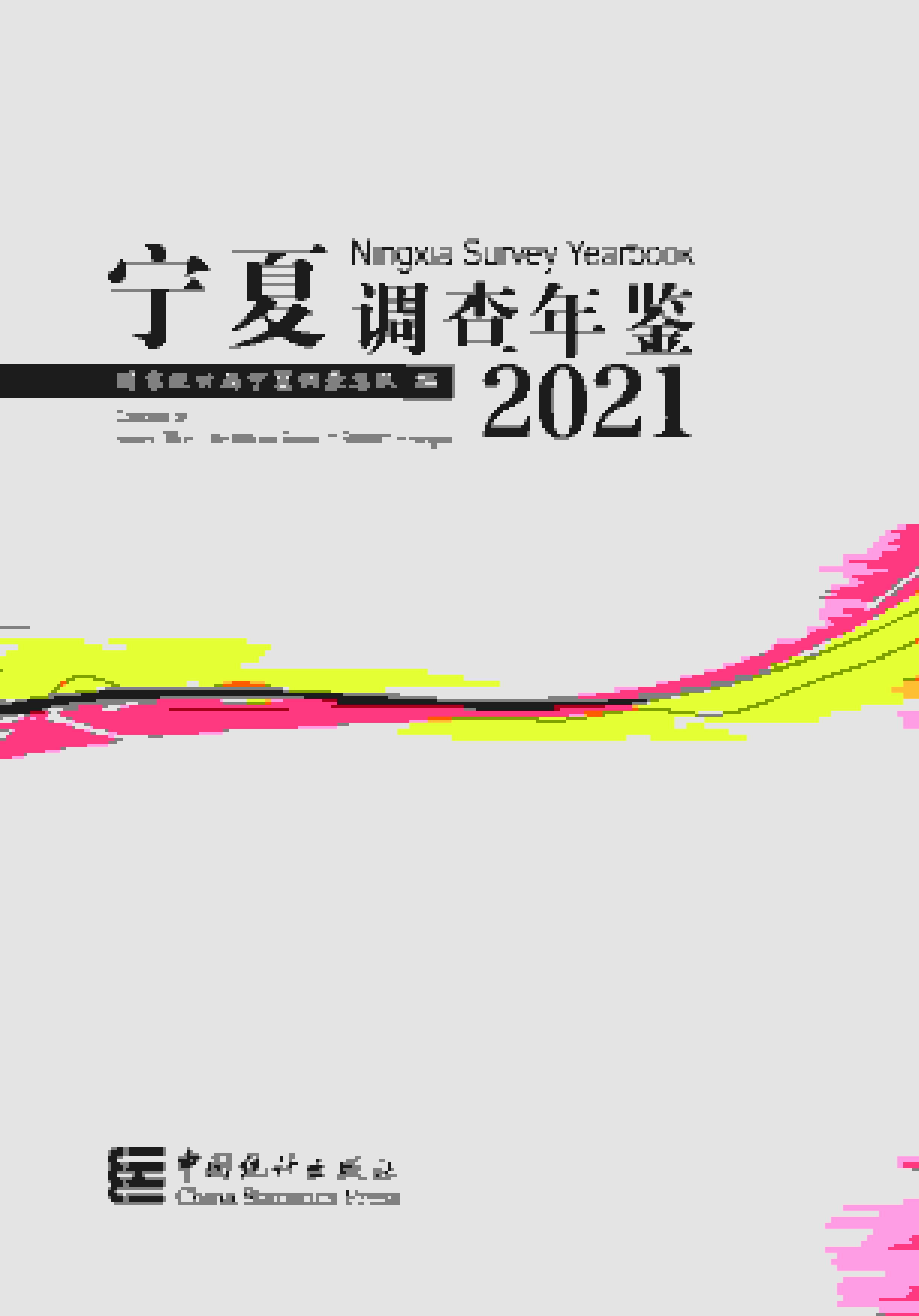 2021年宁夏调查年鉴