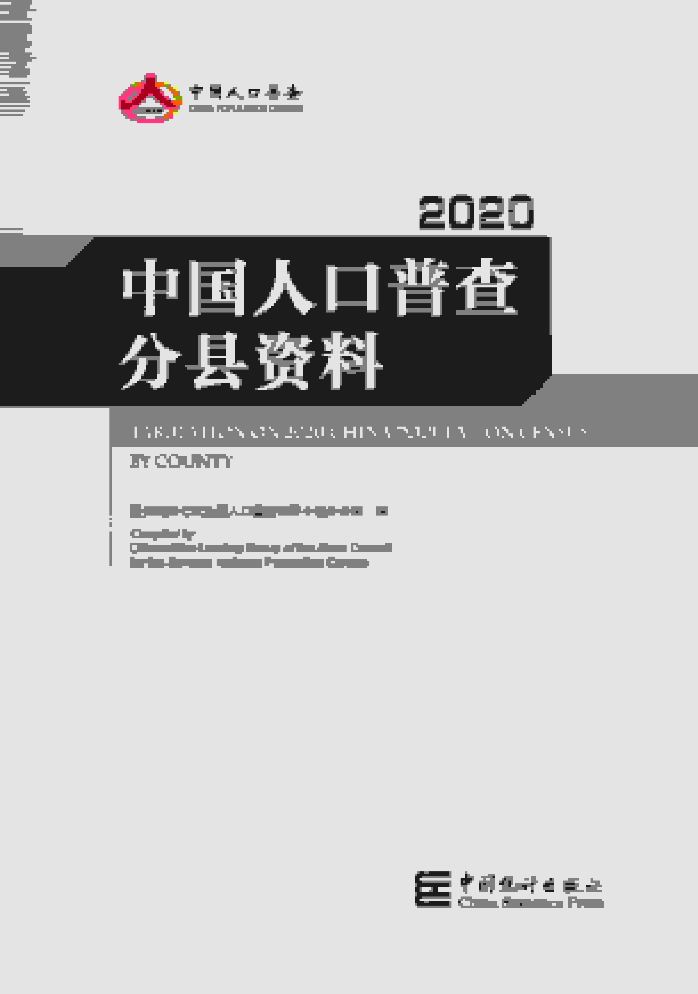 2020年中国人口普查分县资料